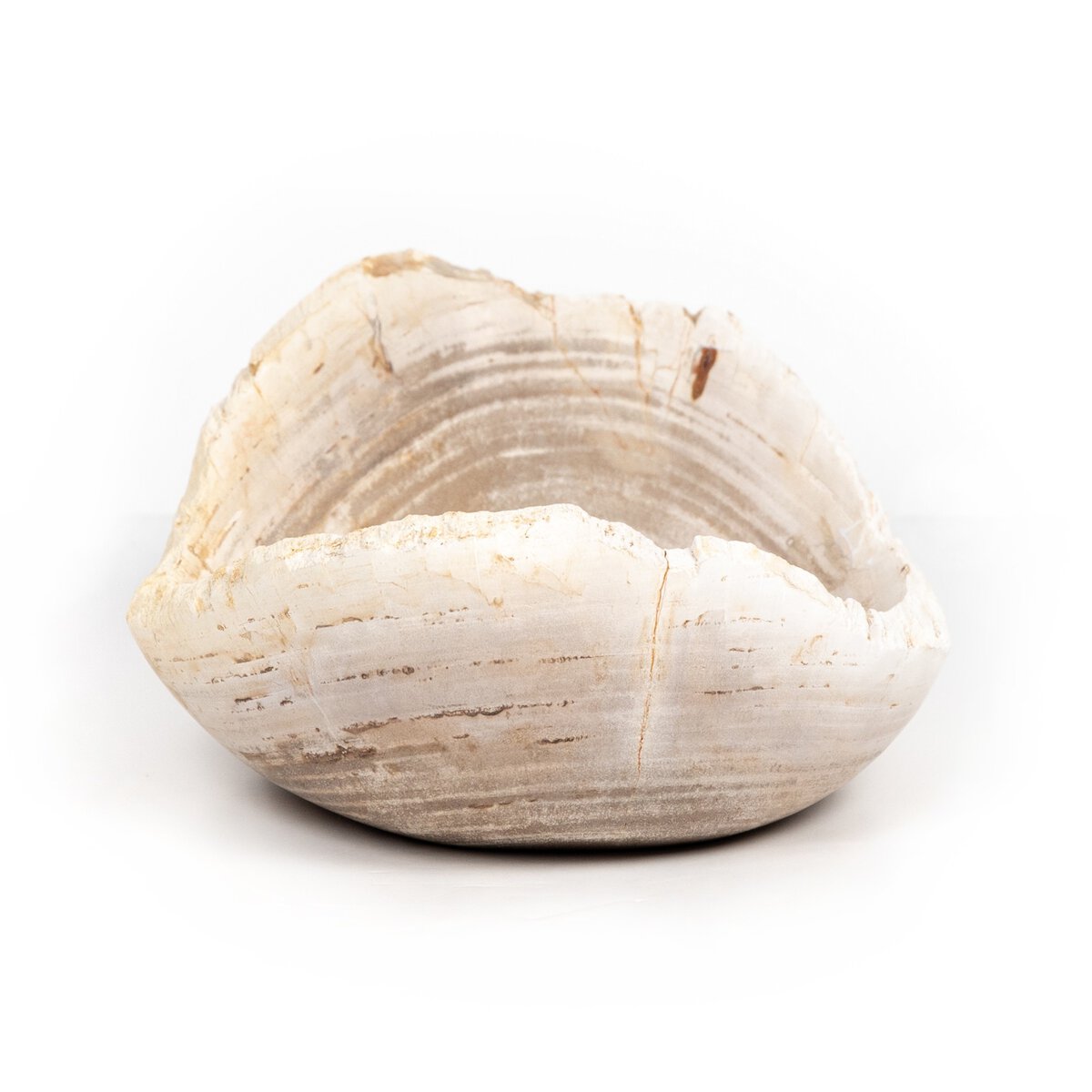 Leda Petrified Wood Bowl - Pure Salt