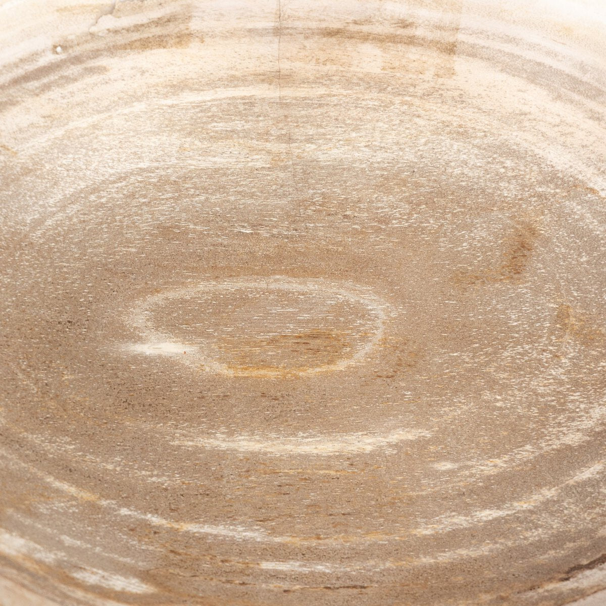 Leda Petrified Wood Bowl - Pure Salt