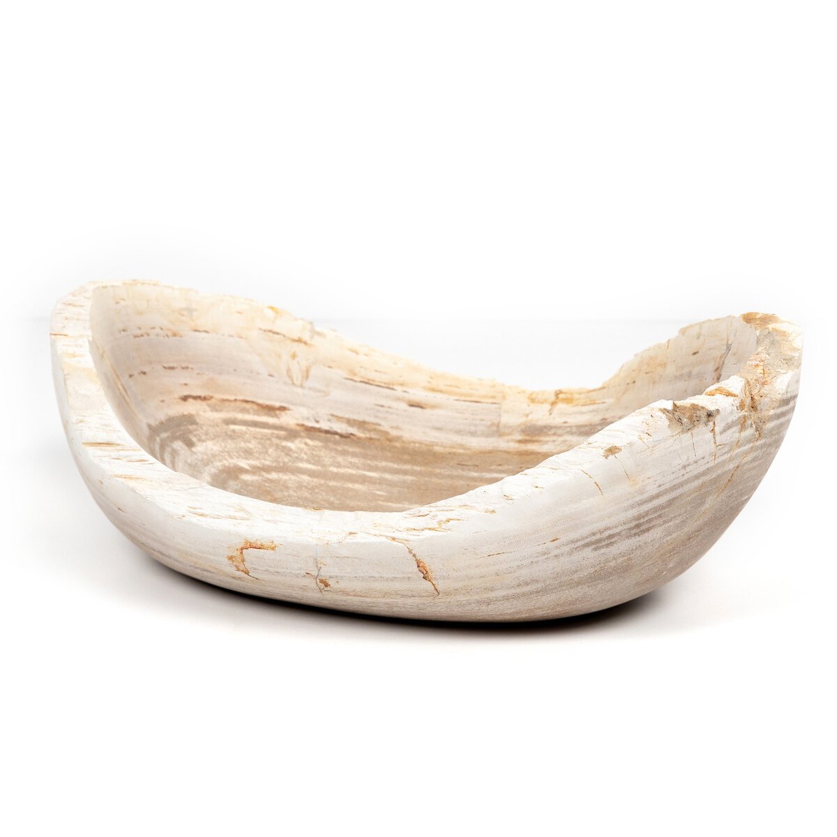 Leda Petrified Wood Bowl - Pure Salt