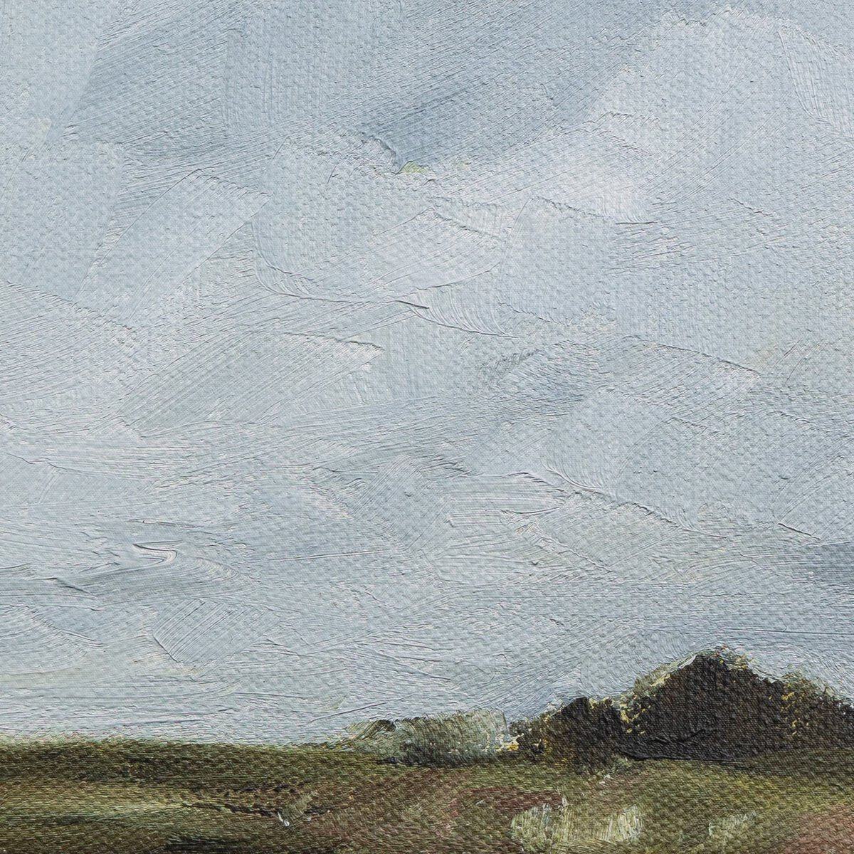 Blue Farmland - Pure Salt Shoppe