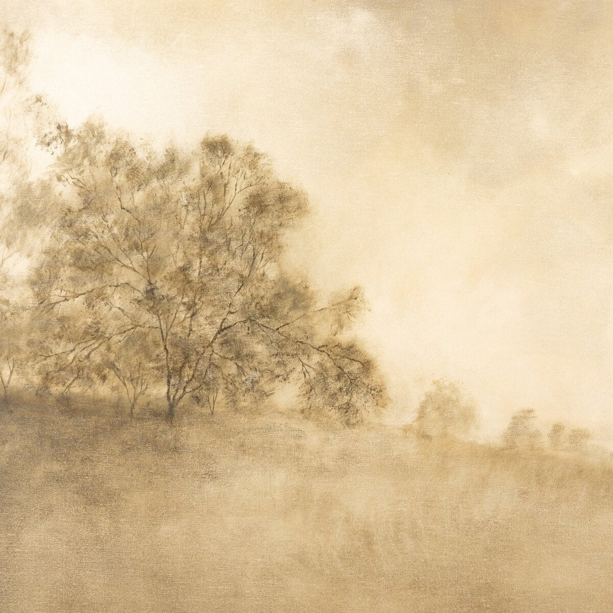 Haze - Pure Salt Shoppe