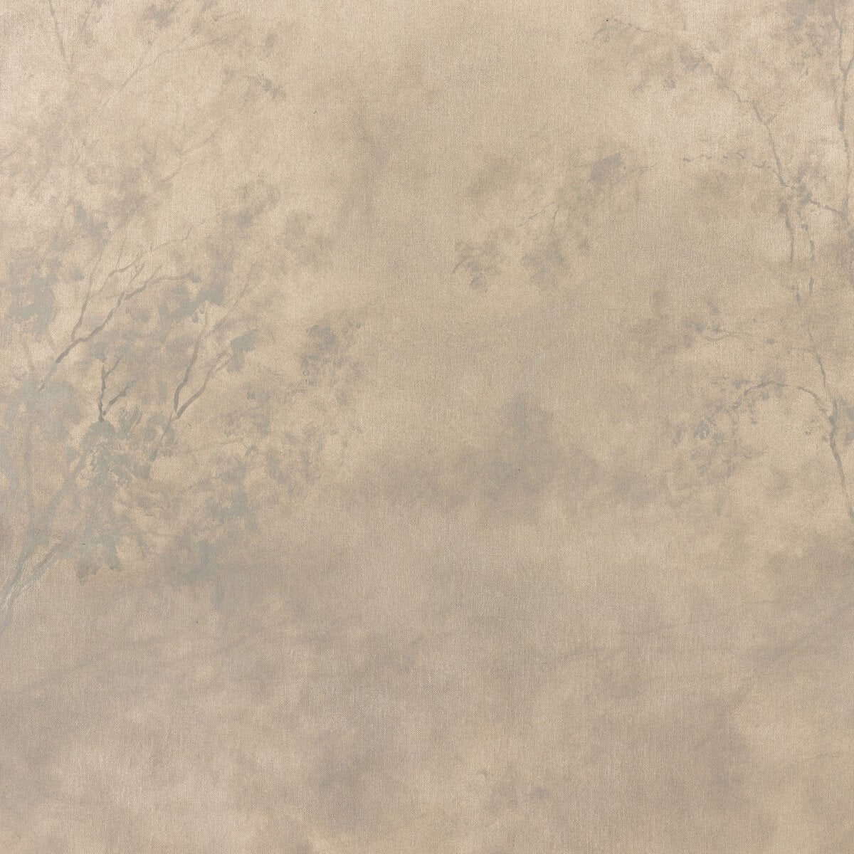 Faded Trees - Pure Salt Shoppe