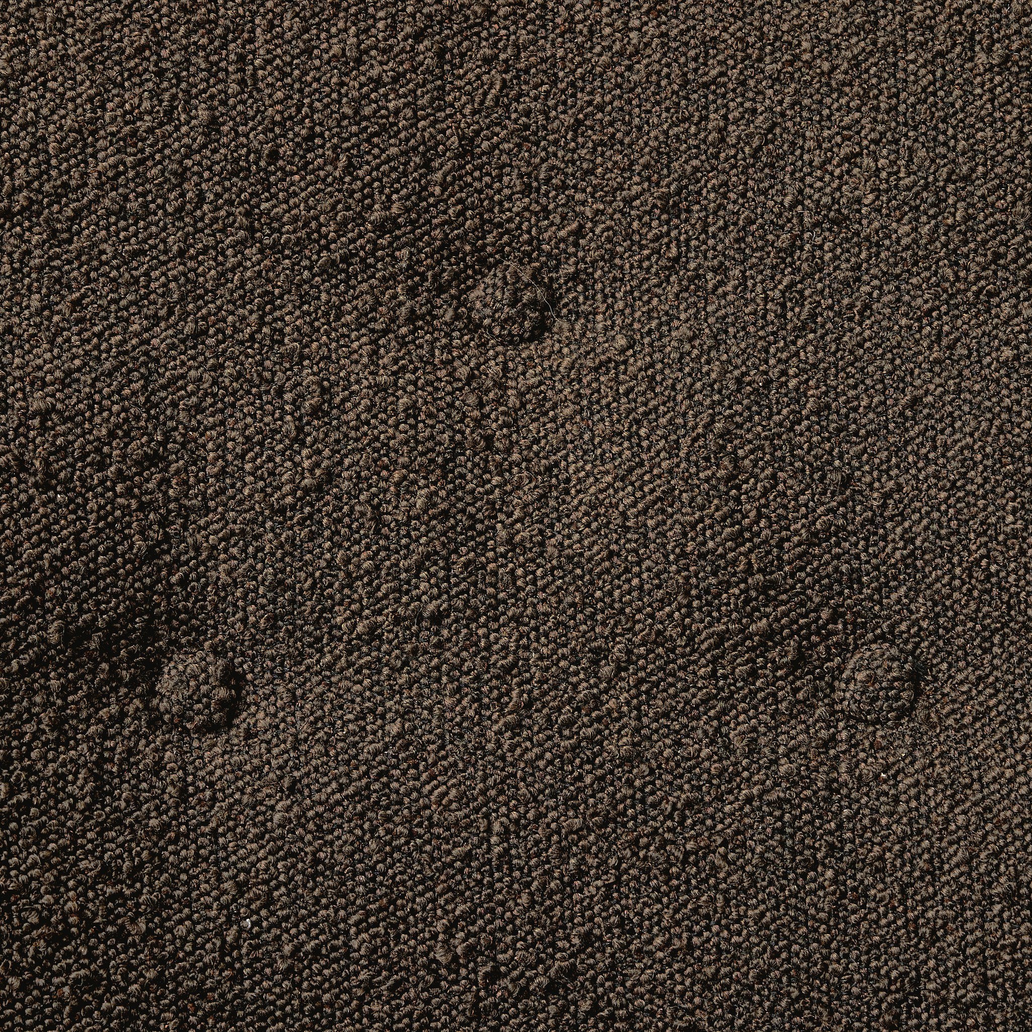 Ryker Chair - Pure Salt