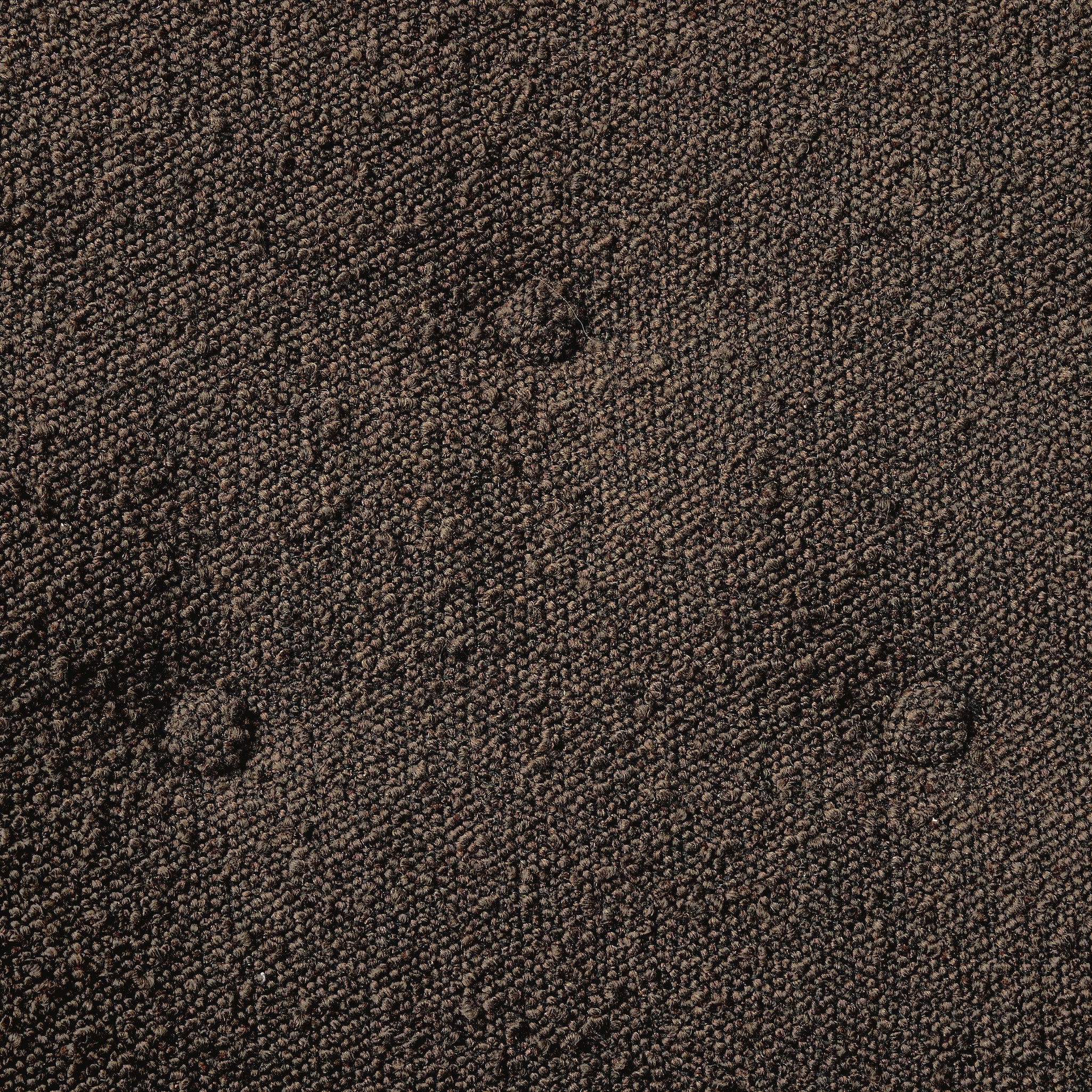 Ryker Chair - Pure Salt