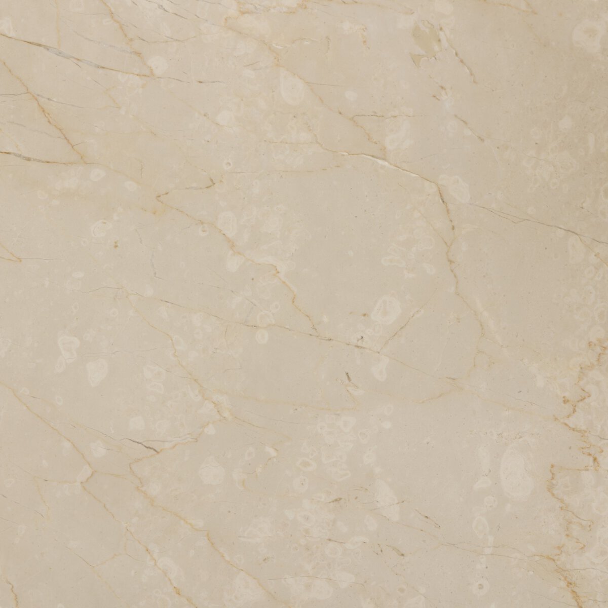 Kora End Table - Pure Salt