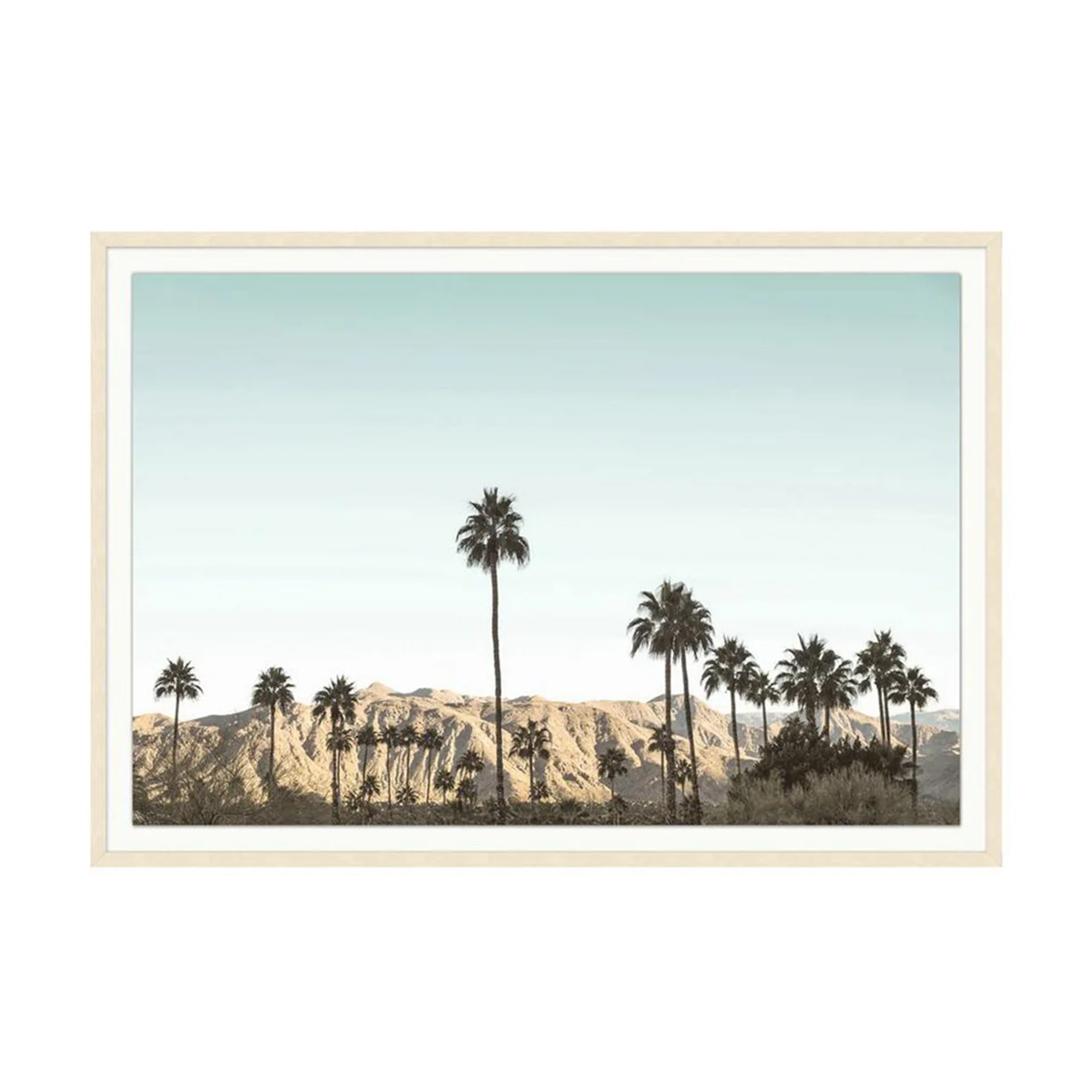 A Day in Palm Springs