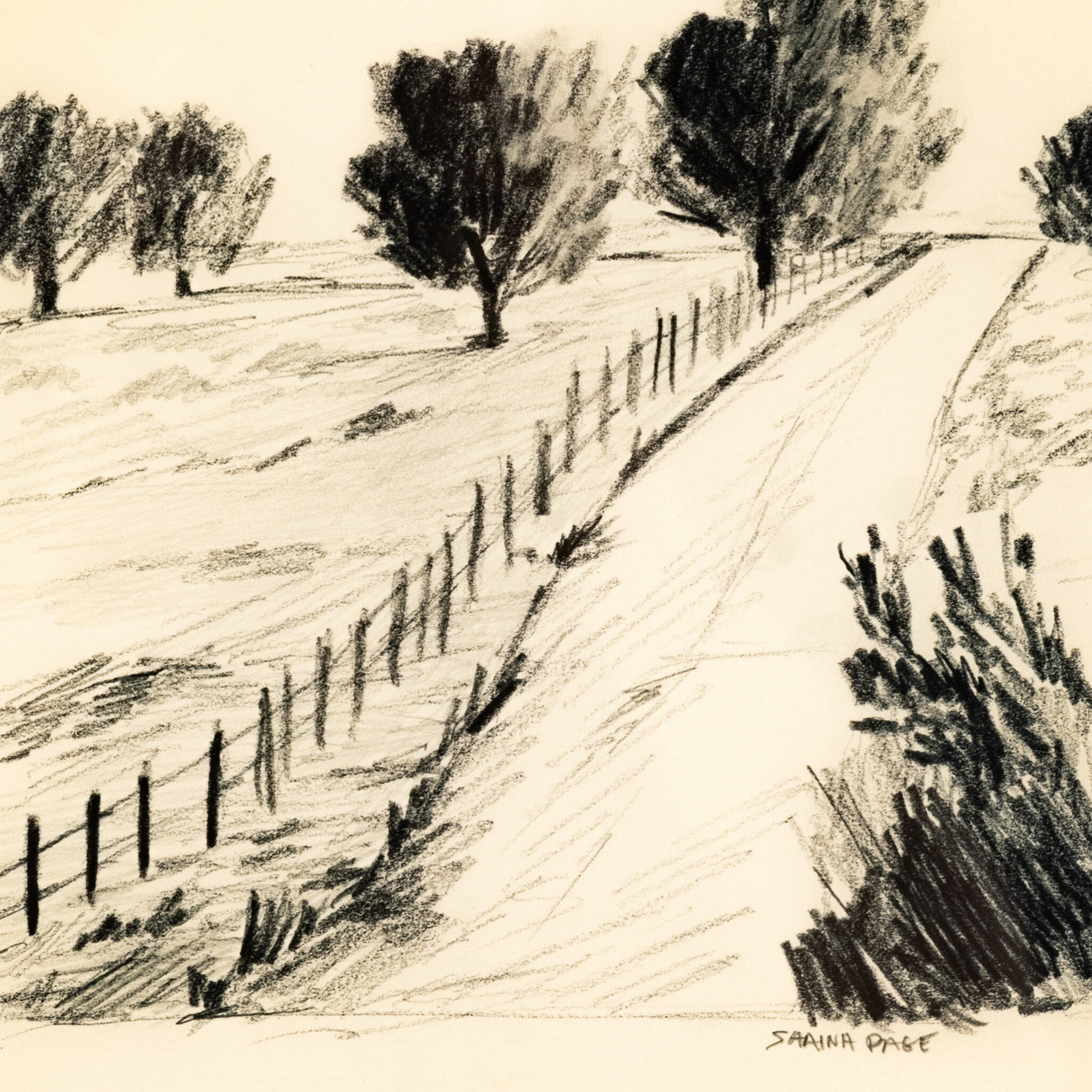 Amber Morning - Pure Salt