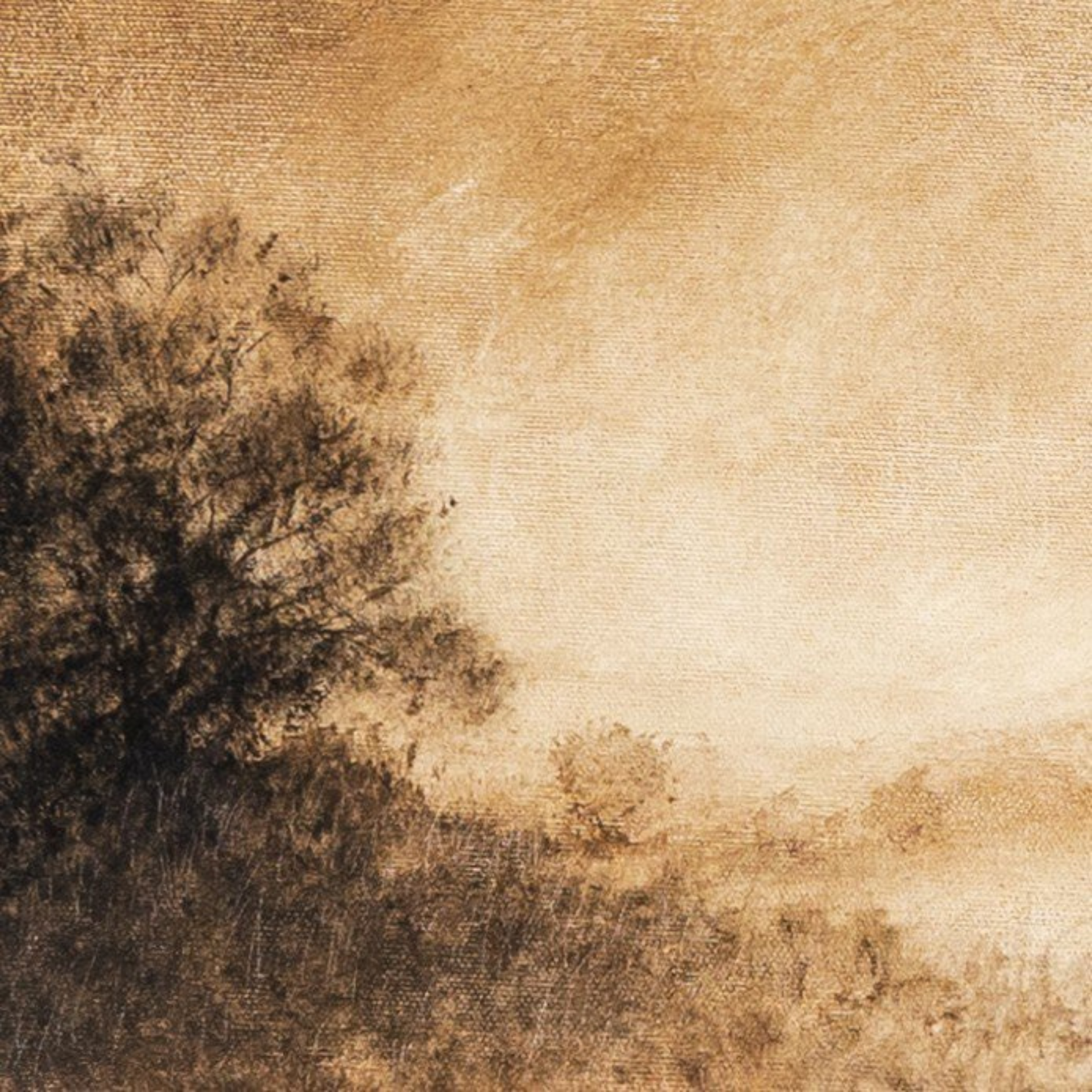 Amber Morning - Pure Salt