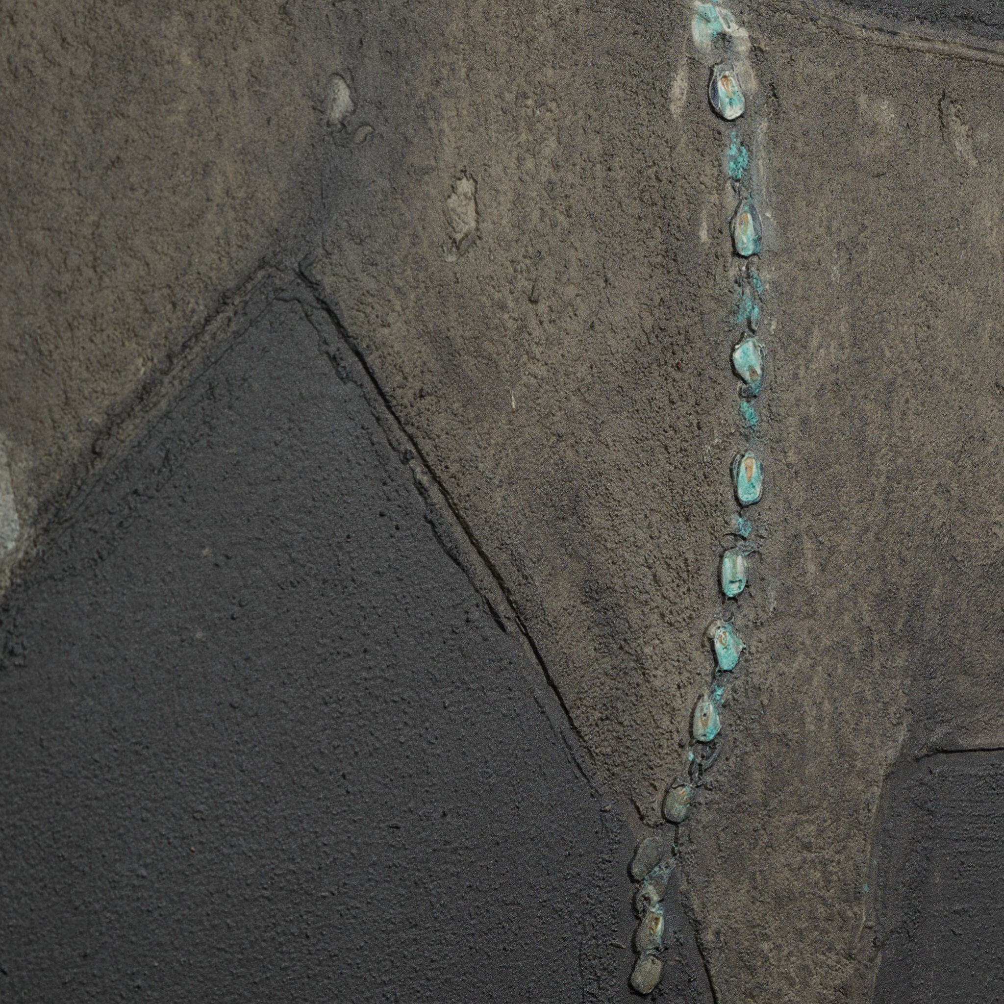 Burro Noche by Paul Meyer - Pure Salt