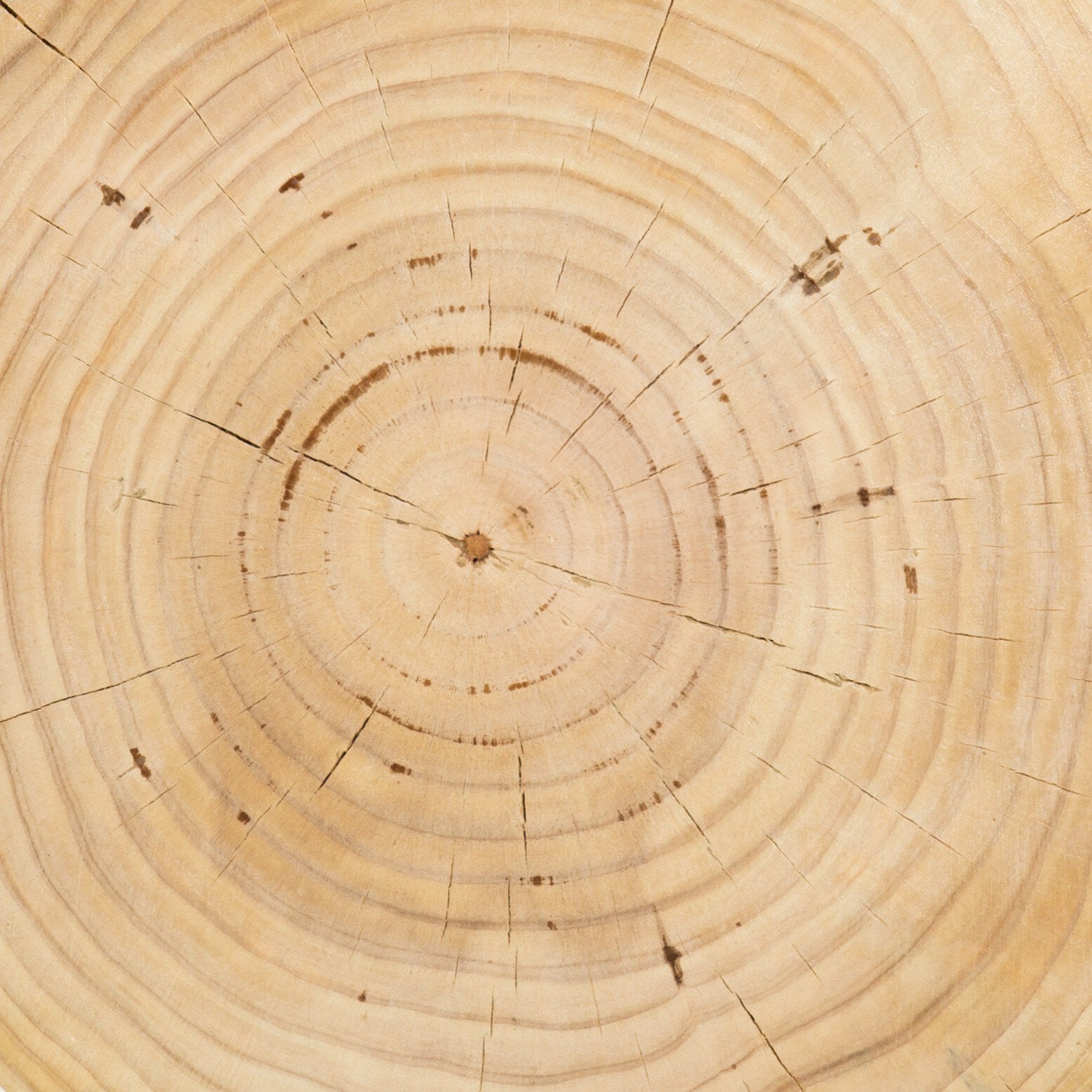 Baltic Sidetable - Pure Salt