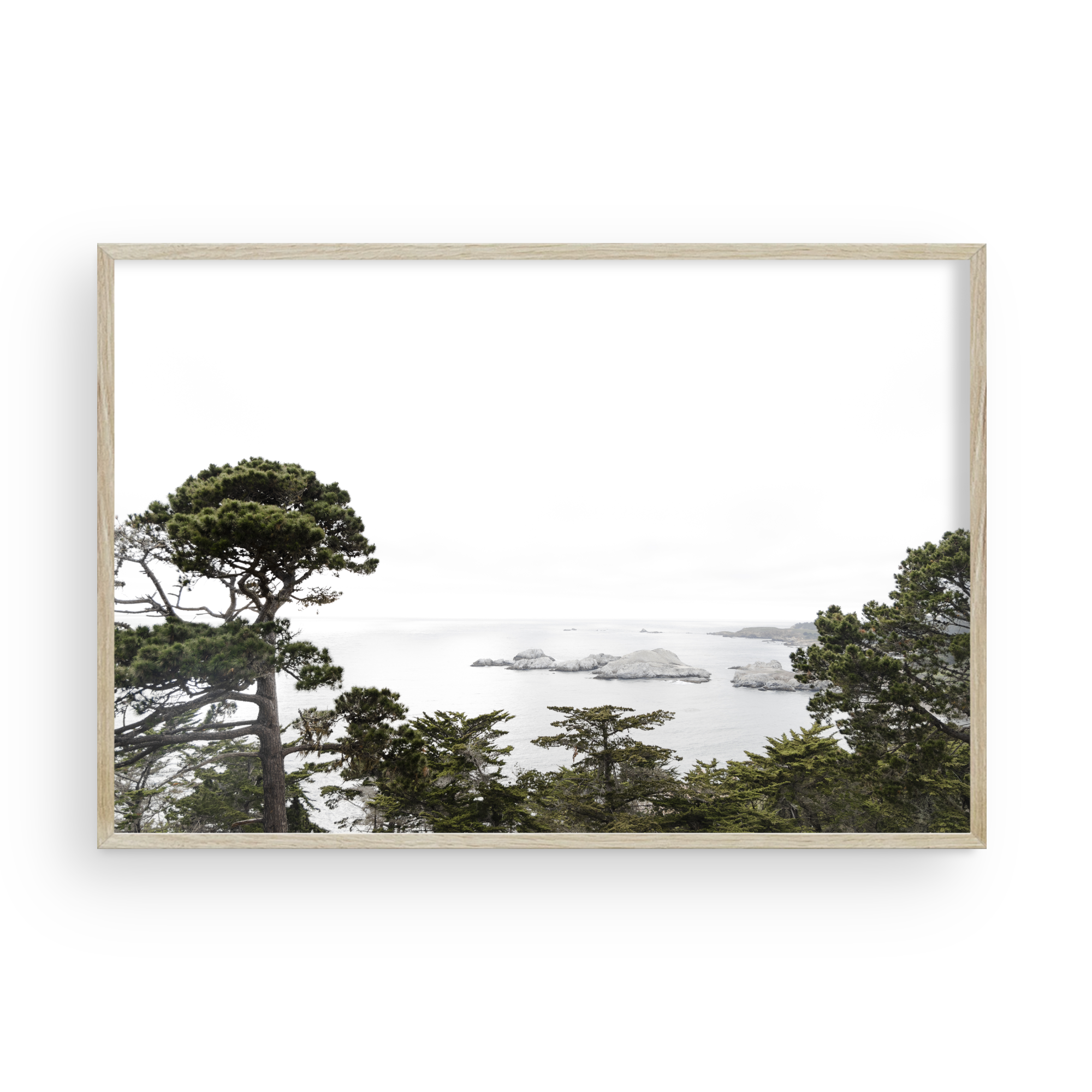 Carmel Vista by Caroline Pacula-PureSalt2