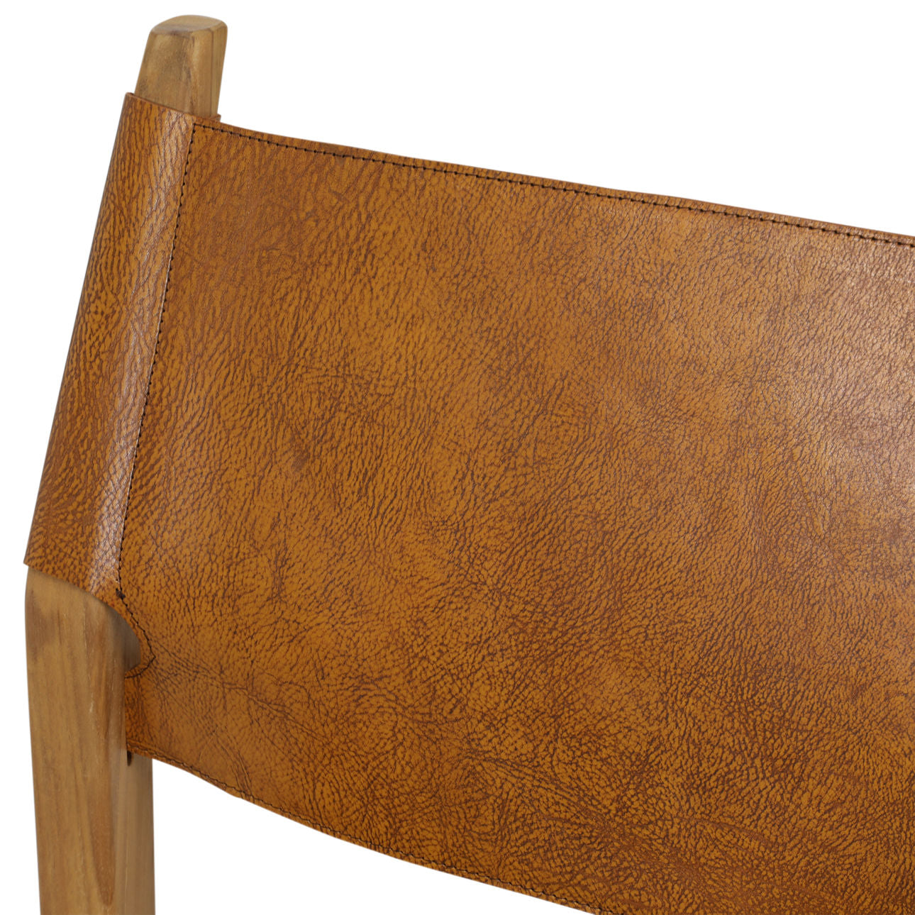 Coloma Dining Chair, Set of 2 - Pure Salt