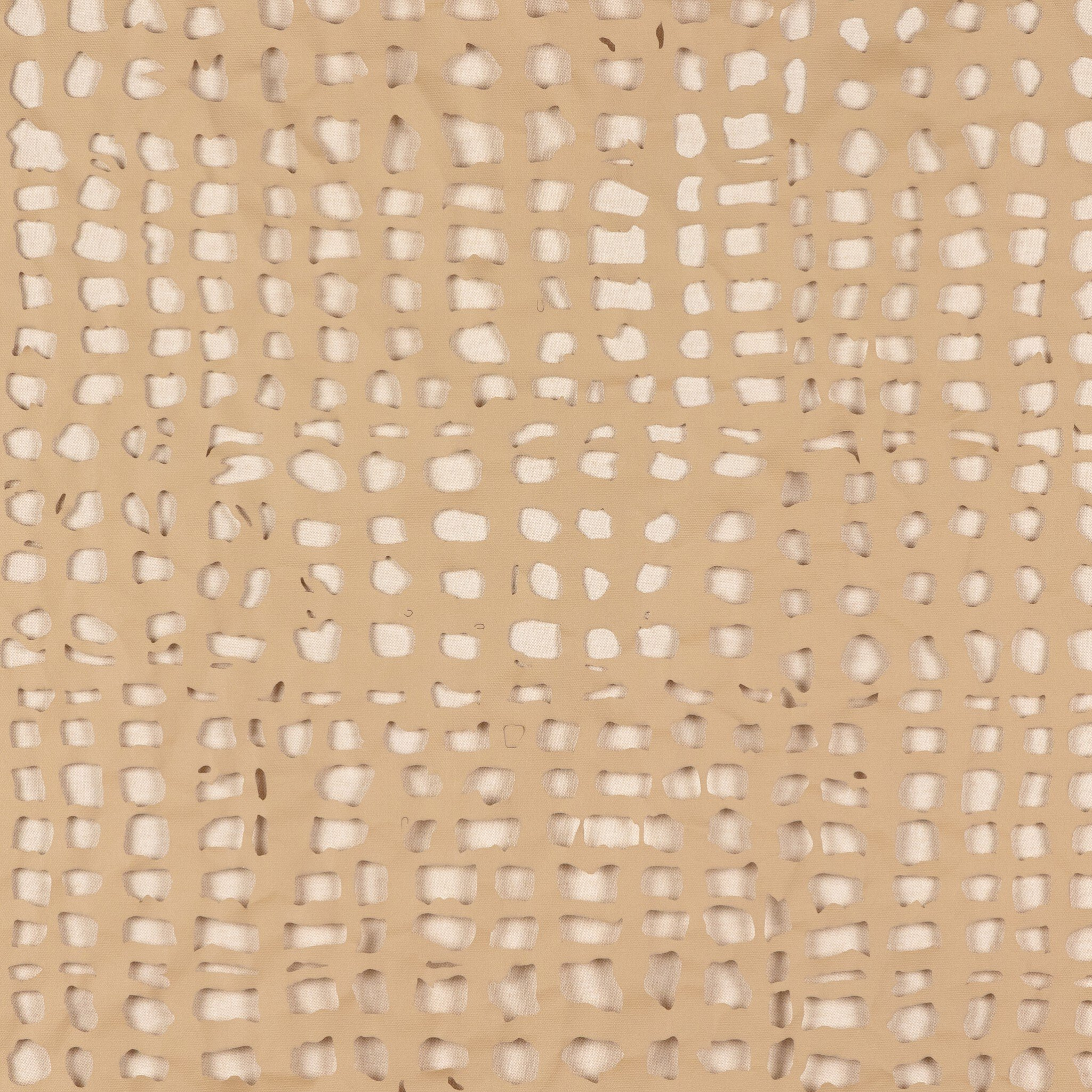 Dry Land - Pure Salt