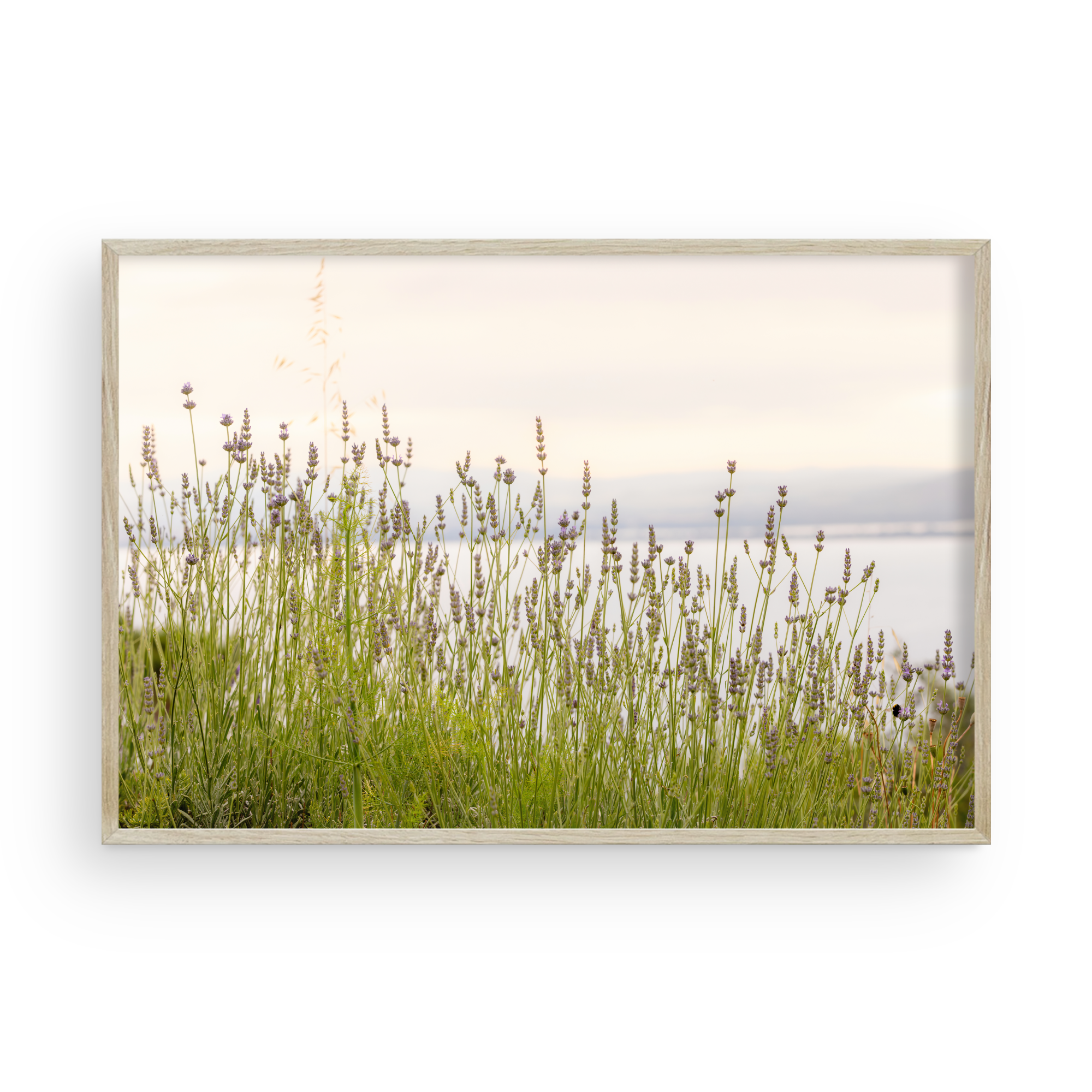 Endless Summer by Carly Tabak - Pure Salt