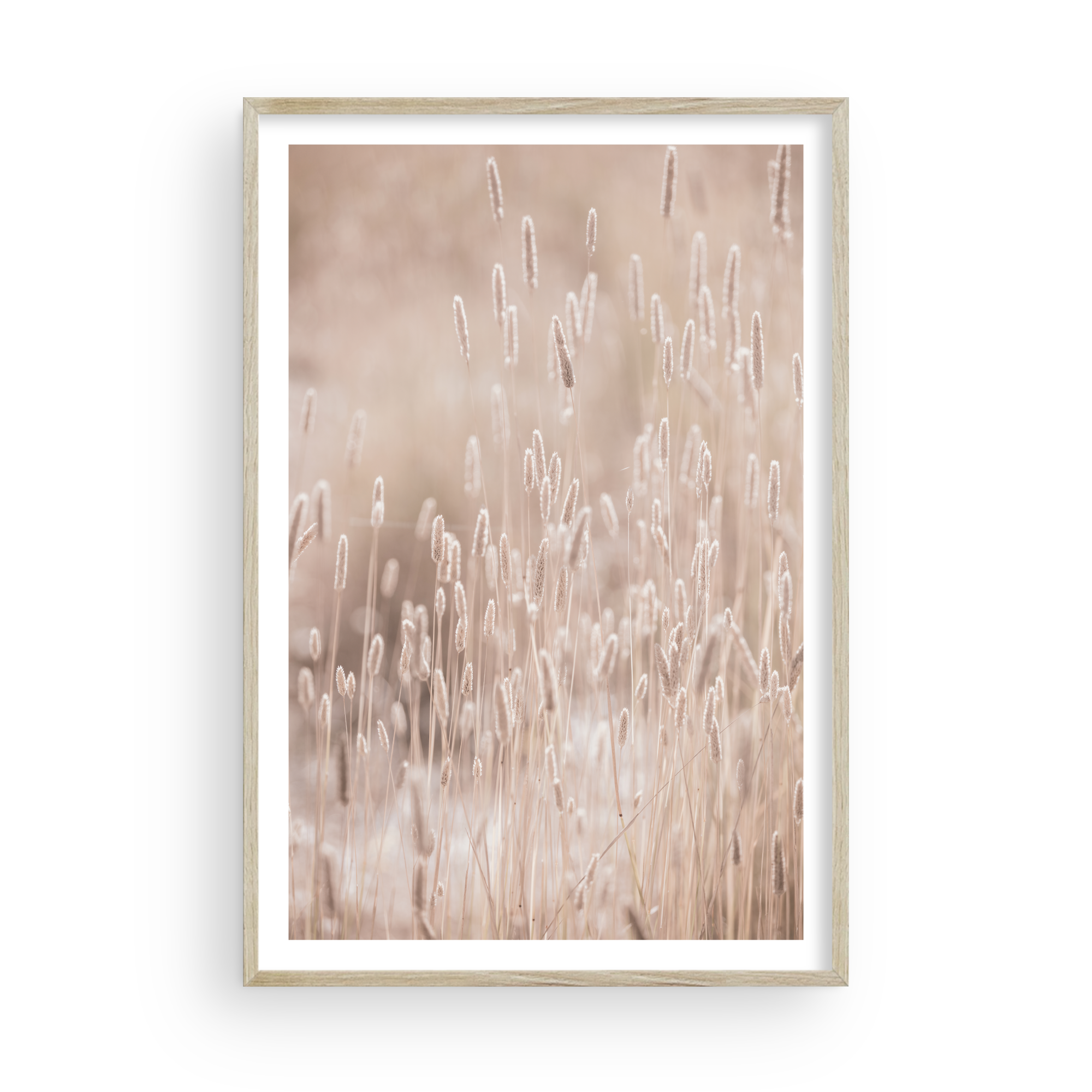 Golden Meadow by Carly Tabak - Pure Salt