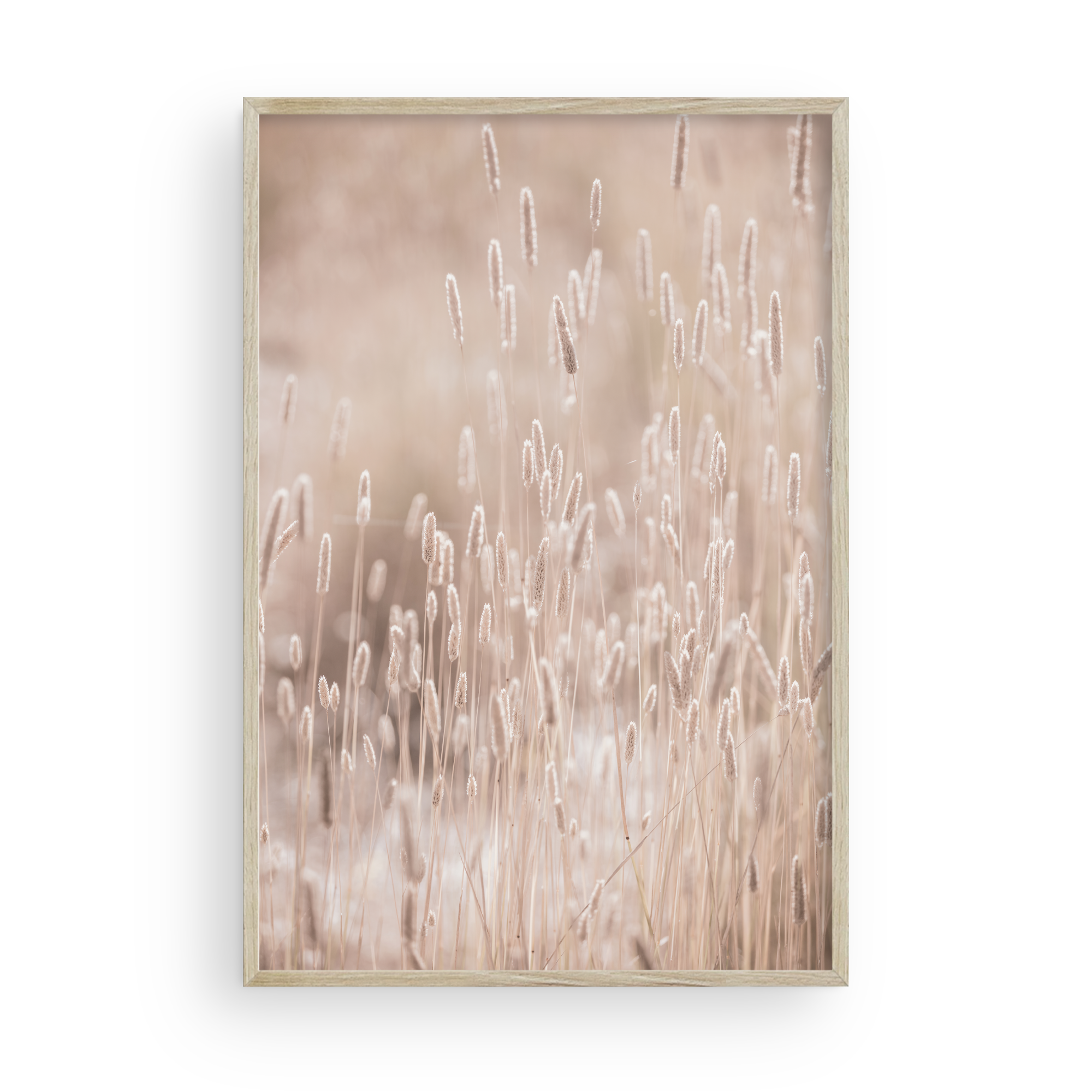 Golden Meadow by Carly Tabak - Pure Salt