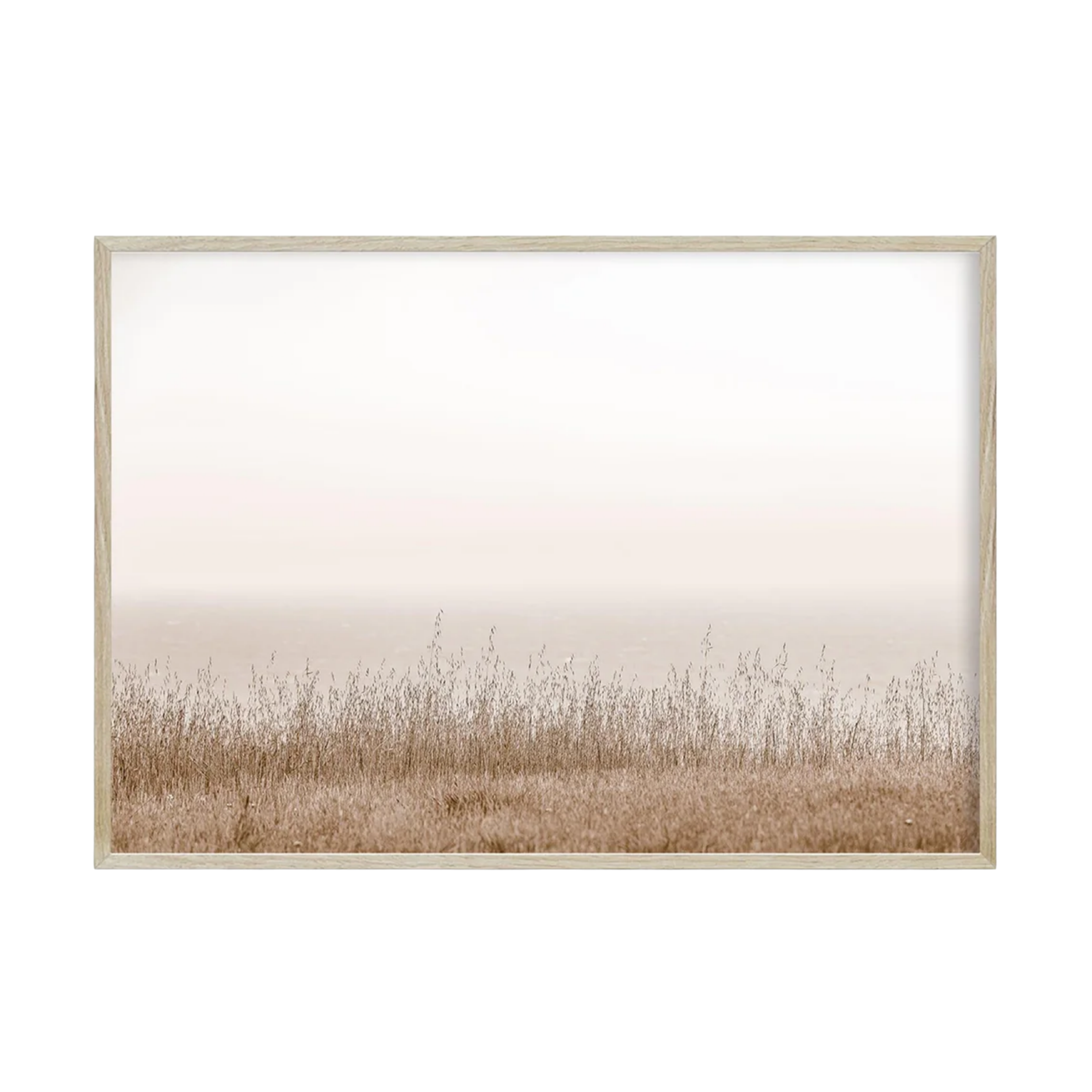 Great Wide Open Sea Ranch CA by Carly Tabak