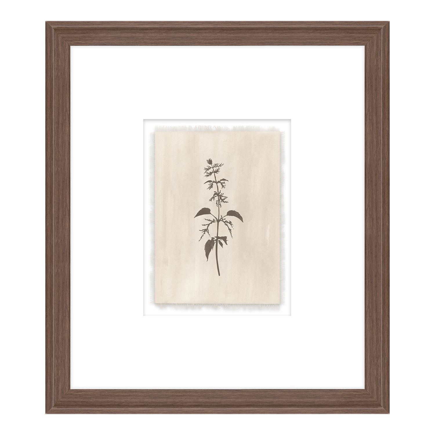 Pure Salt x Leftbank Art In Bloom III - Pure Salt