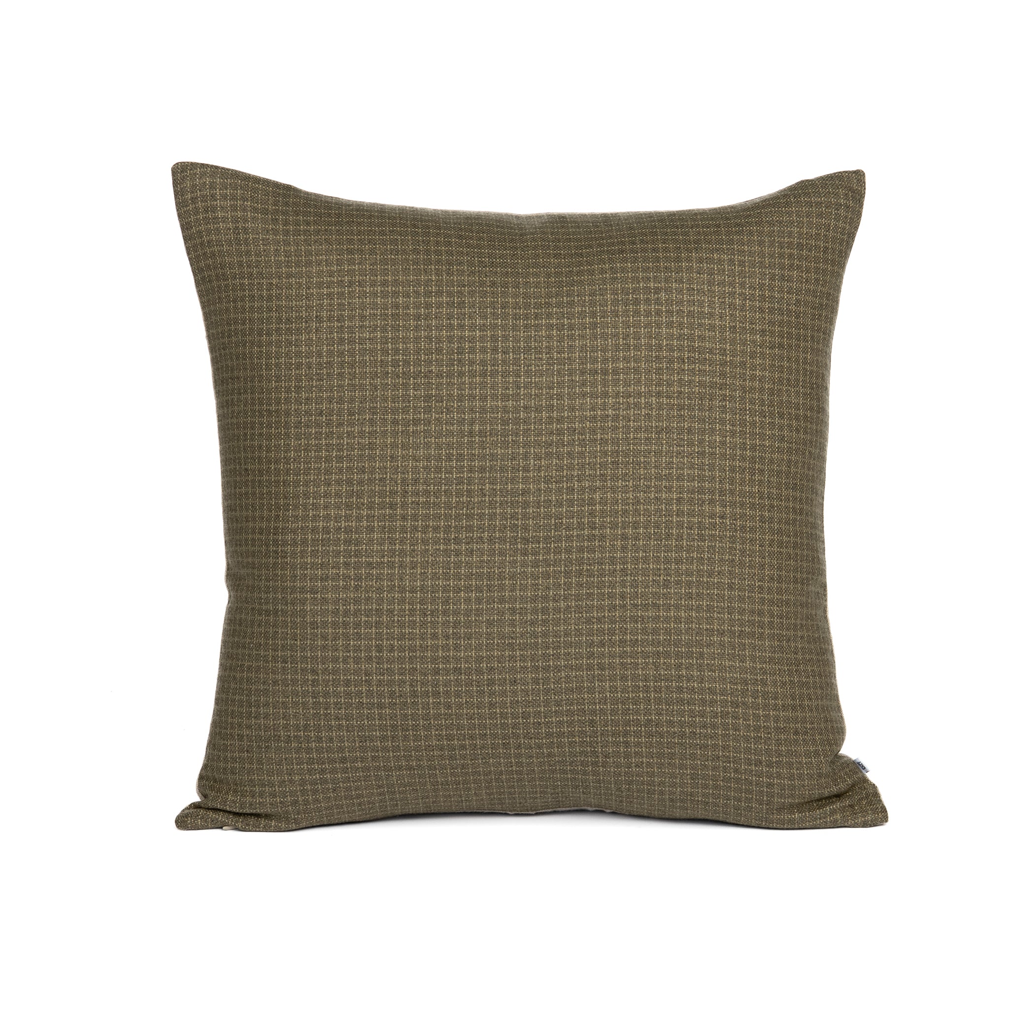 Joel Pillow-Pure Salt