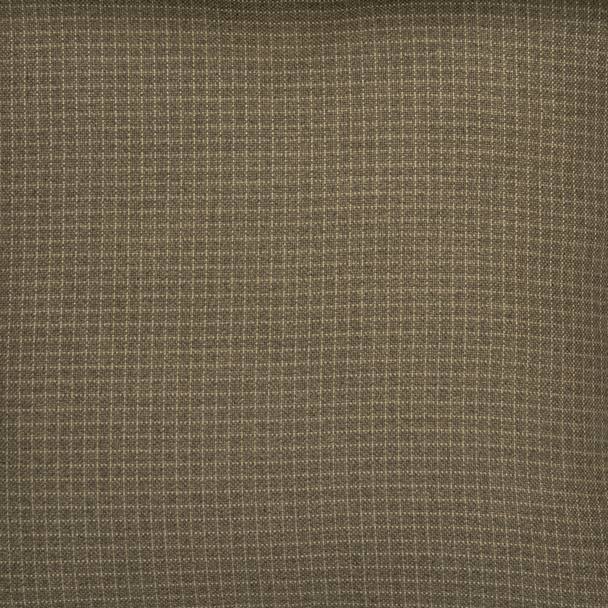 Joel Pillow-Pure Salt