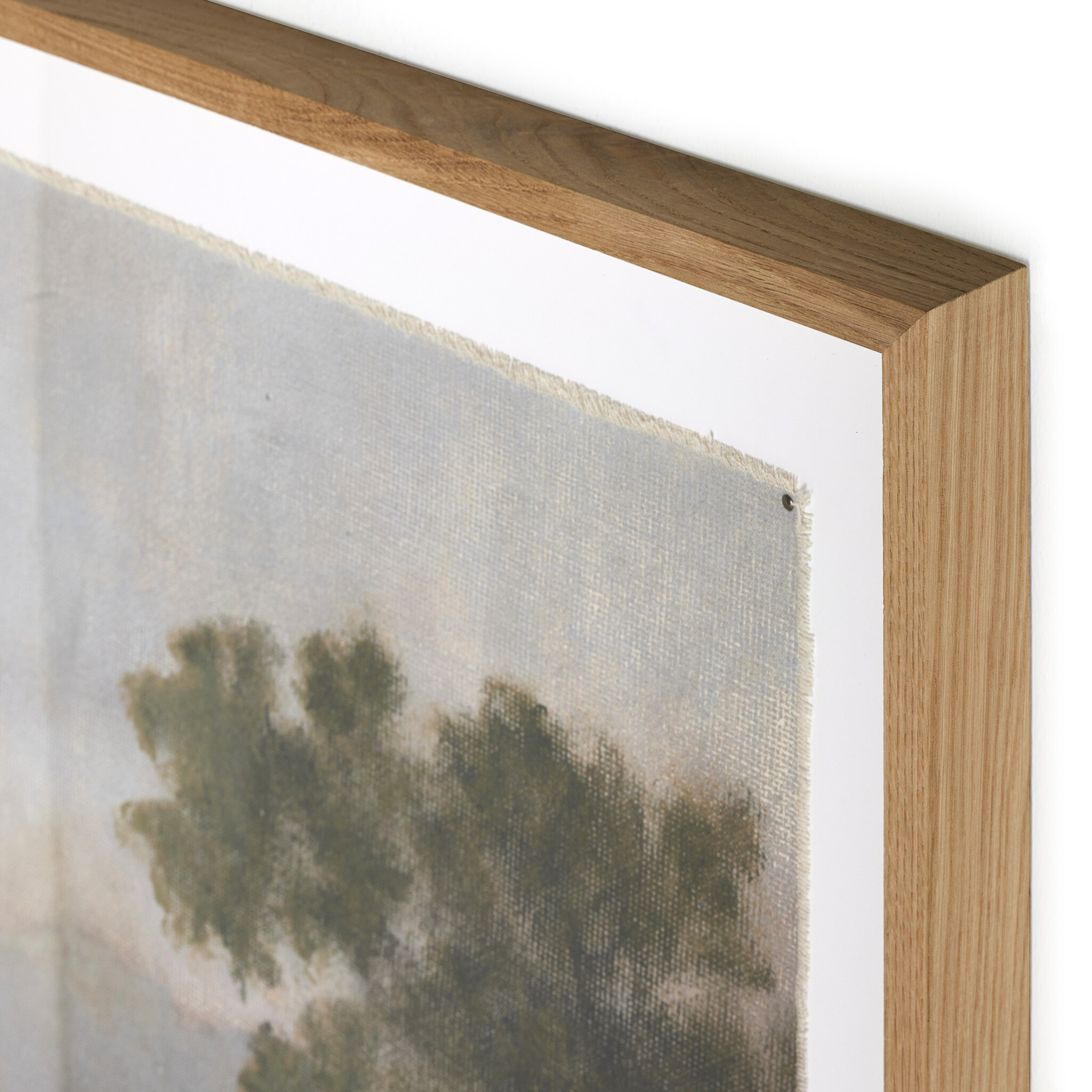 Morning Glory by Aileen Fitzgerald - Pure Salt