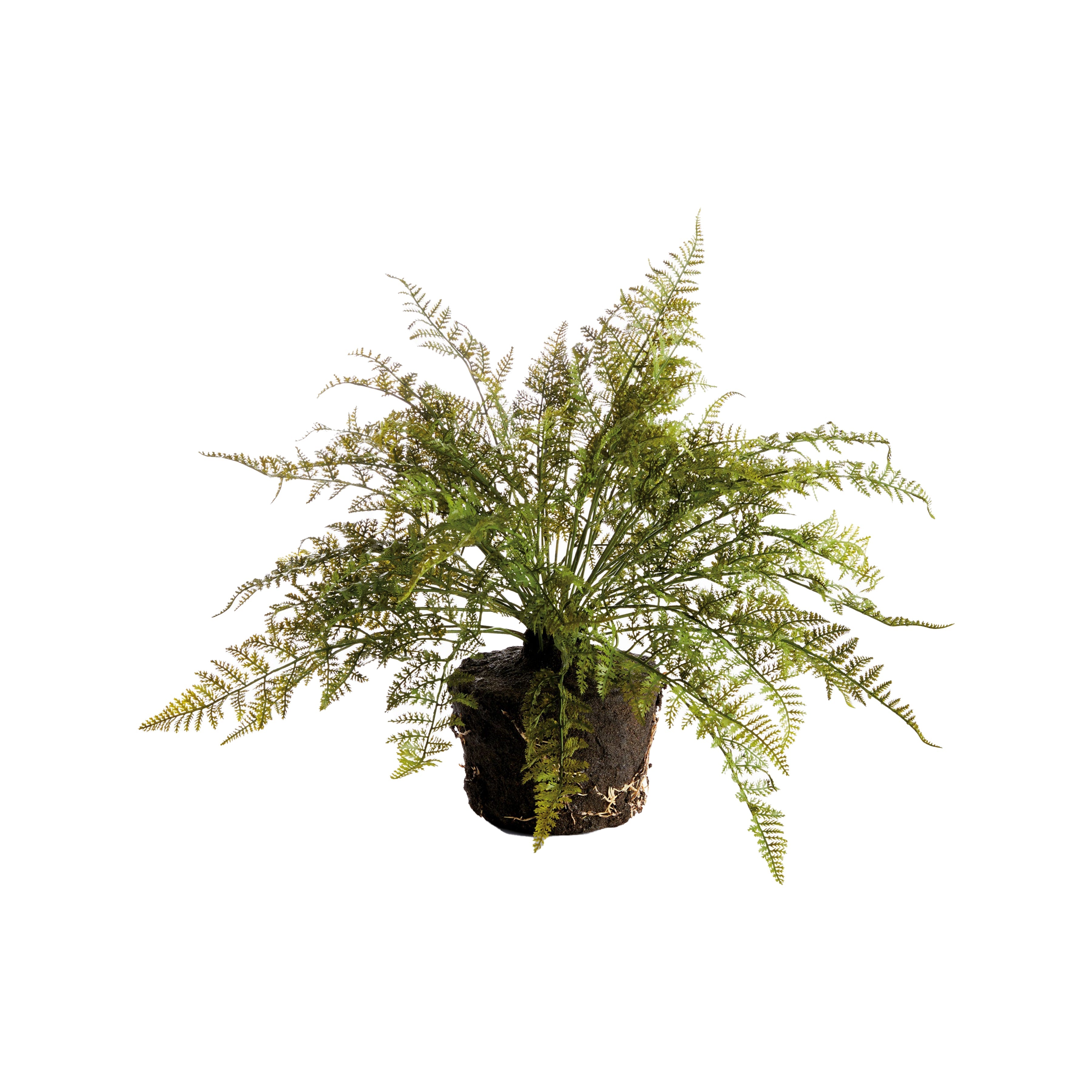 Soft Fern Drop-In 18.5"