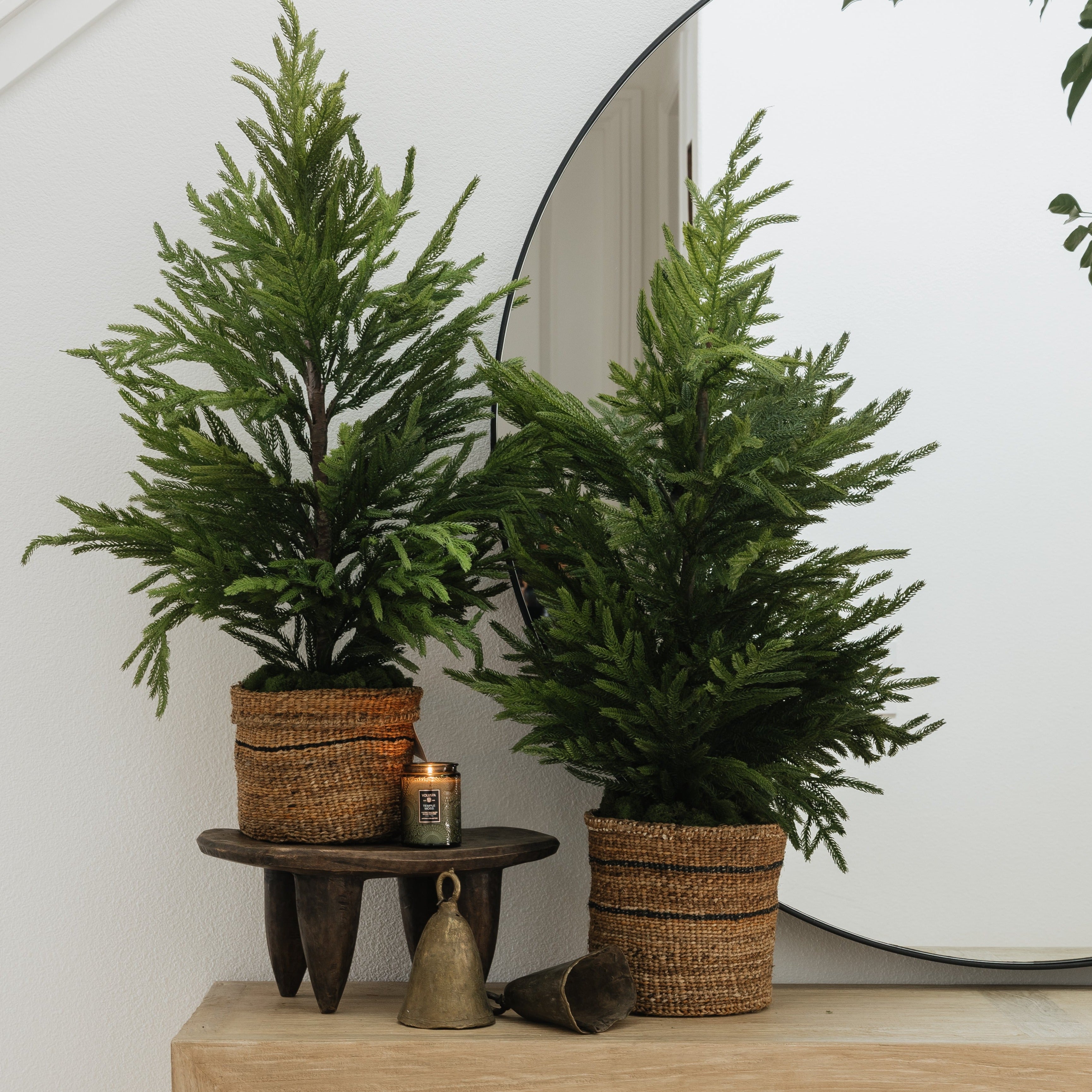 Flynn Bell - Pure Salt Shoppe