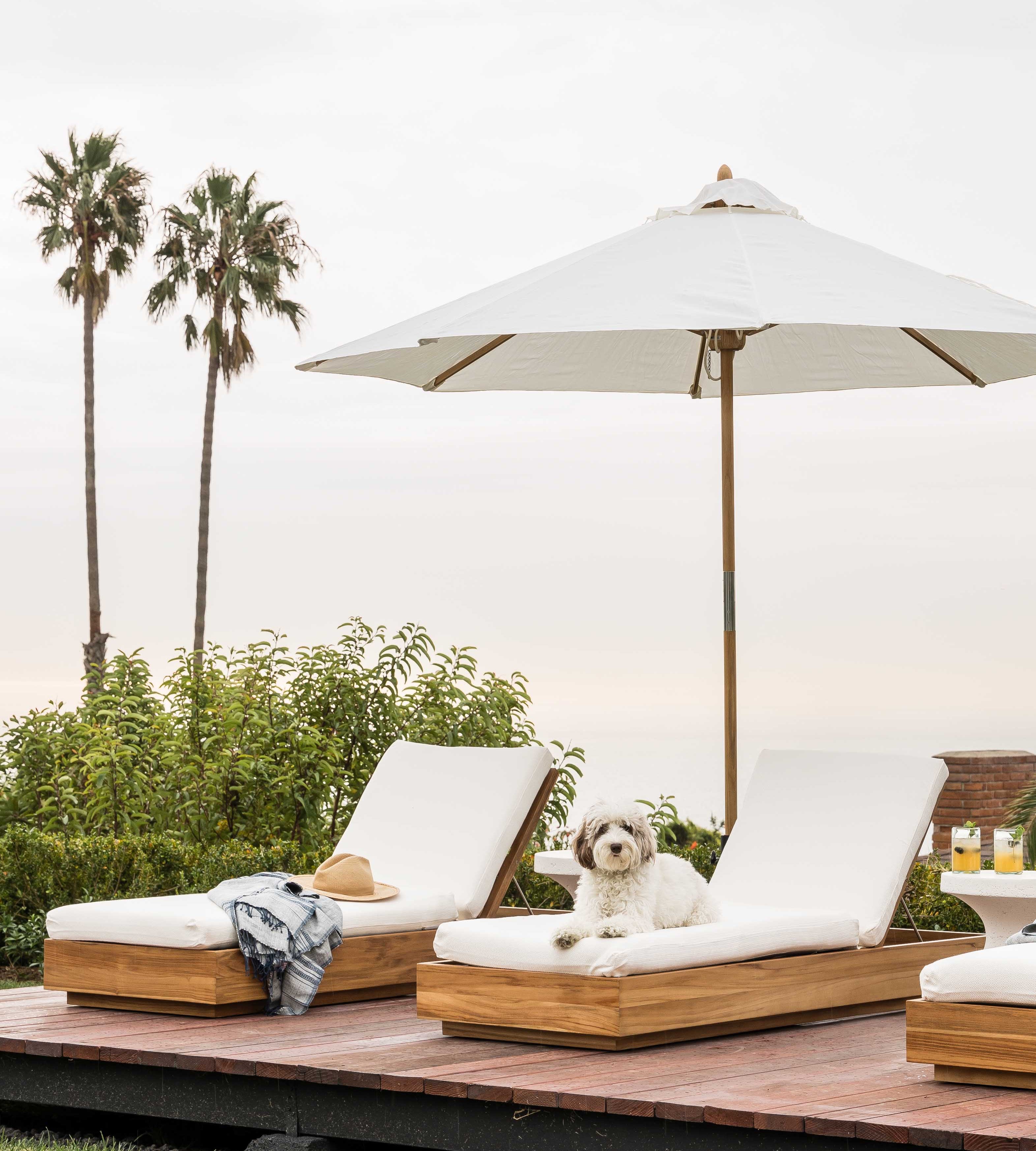 Malibu Project - Pure Salt