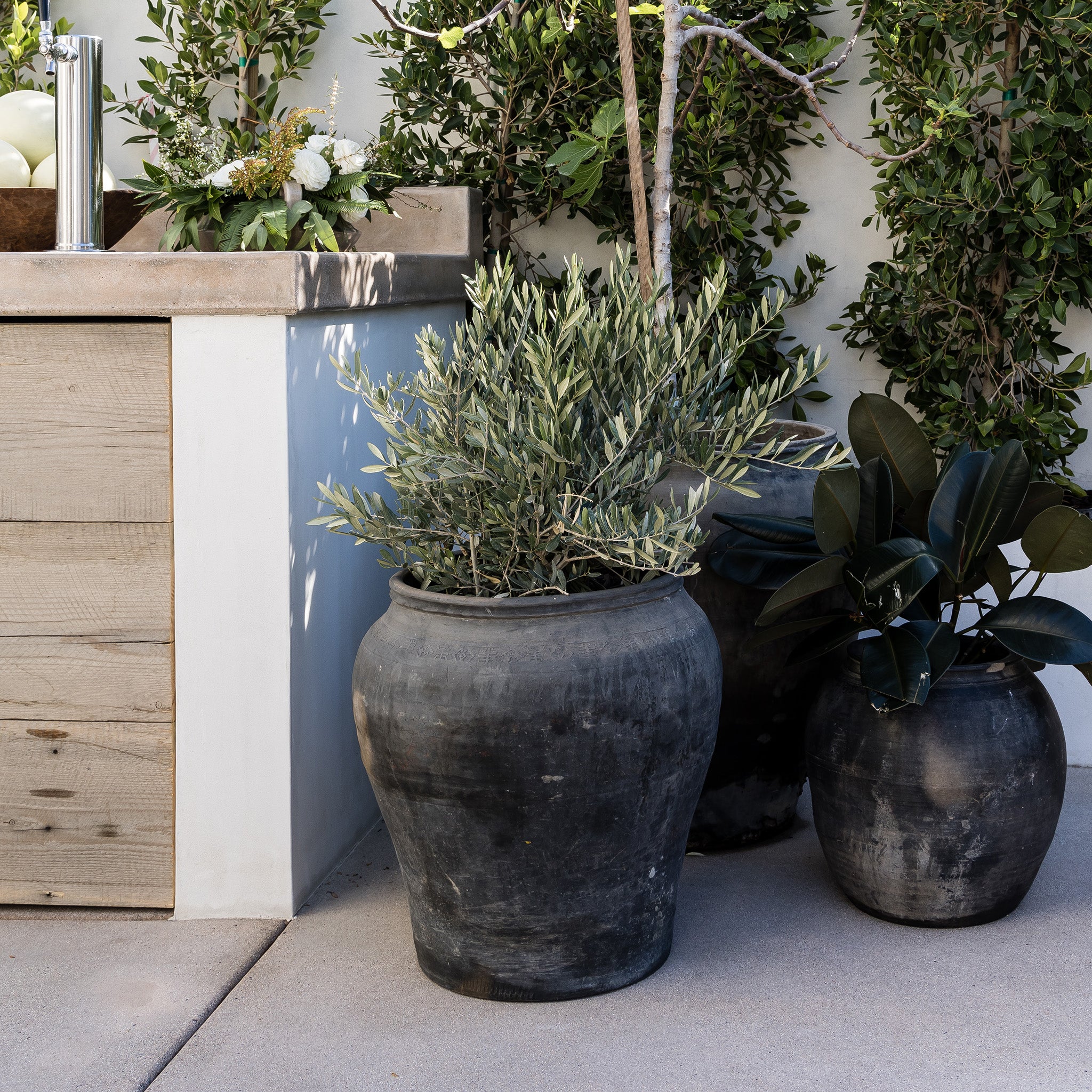 Darcy Pot - Pure Salt Shoppe