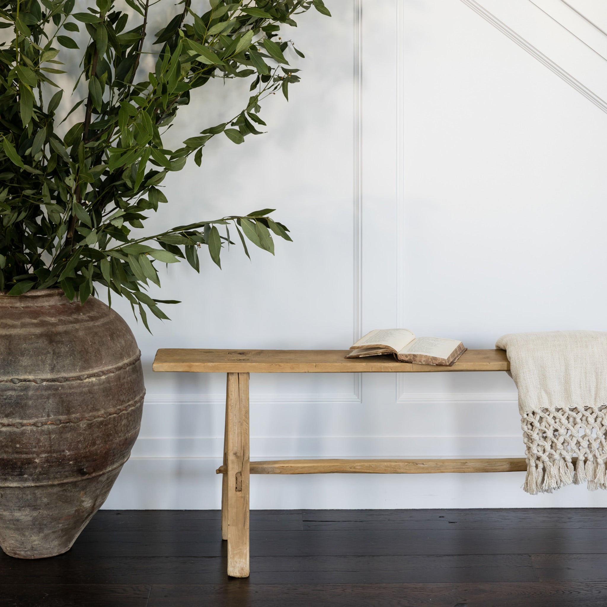 Darcy Pot - Pure Salt Shoppe