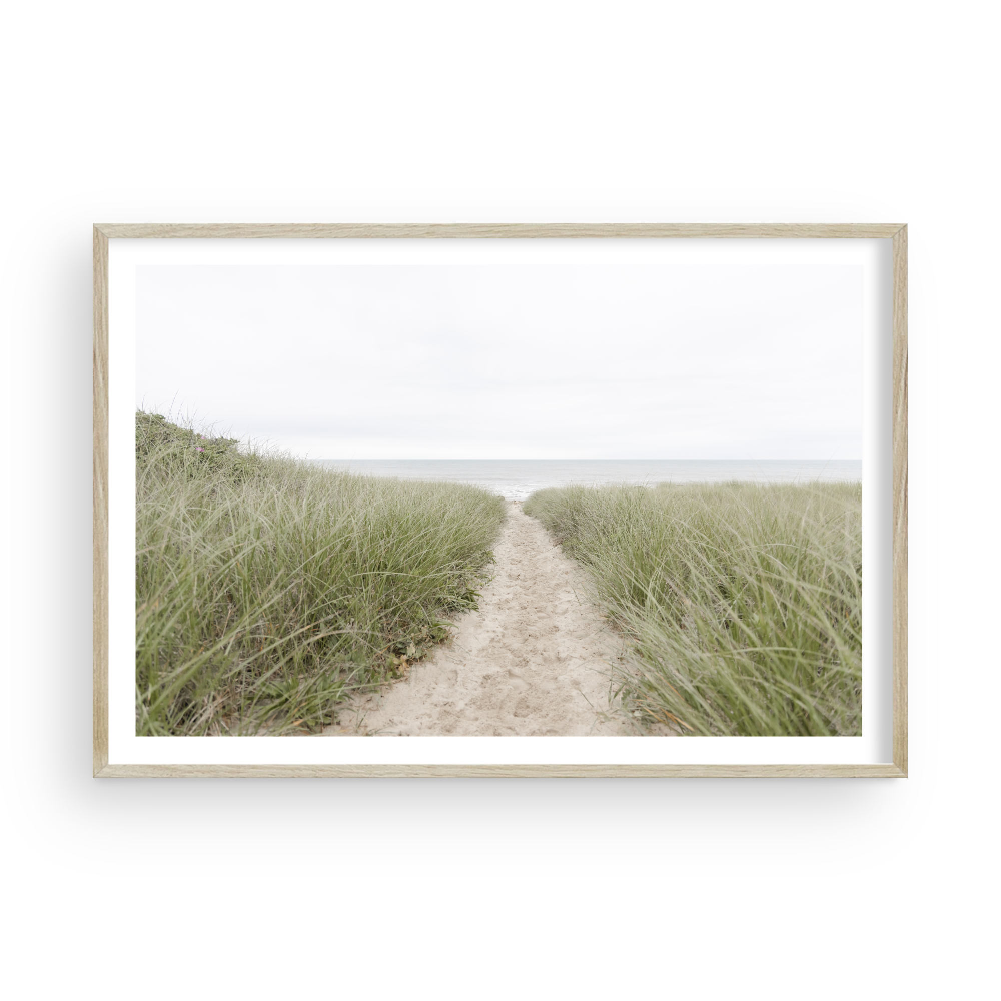 Path of Purpose by Caroline Pacula-PureSalt1