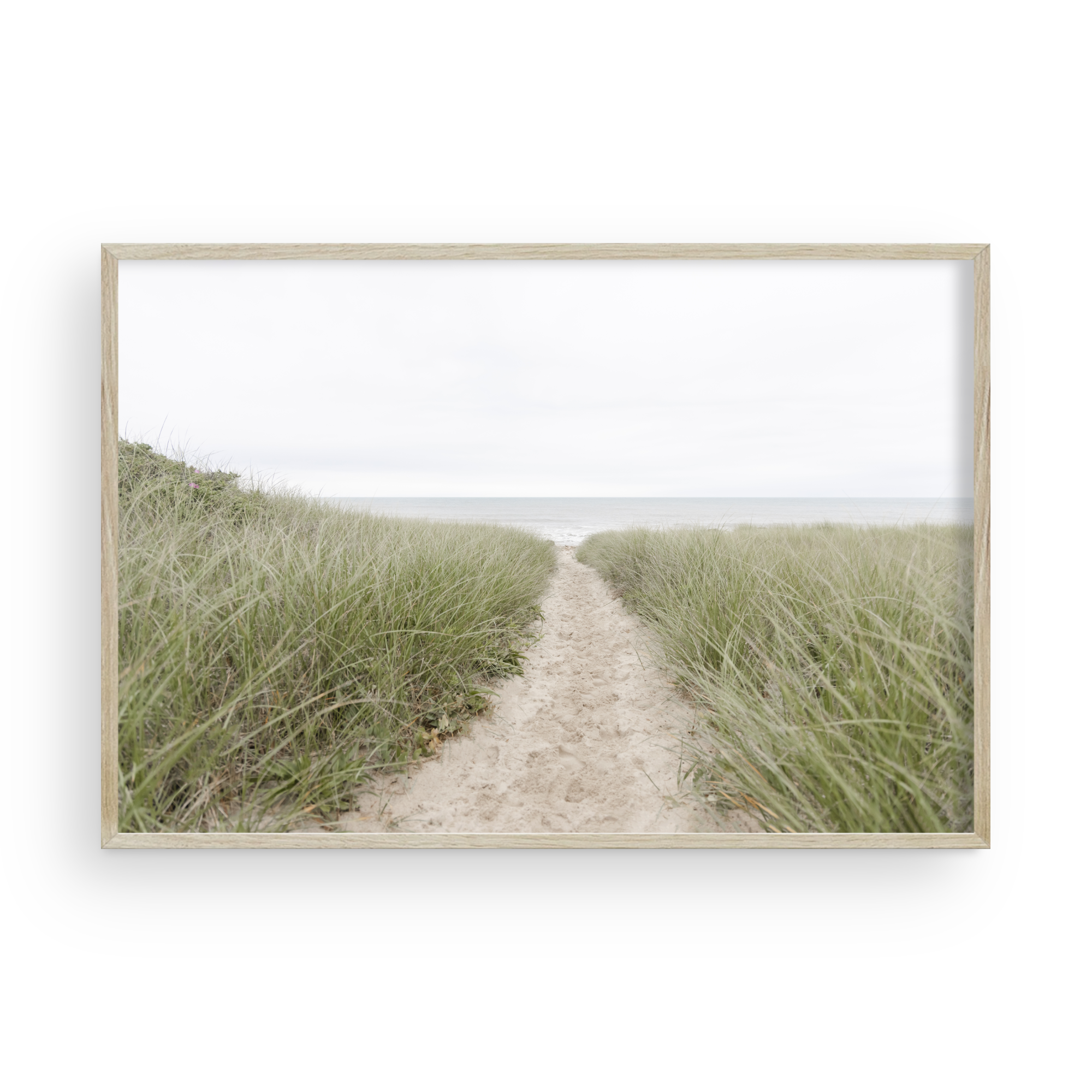 Path of Purpose by Caroline Pacula-PureSalt2