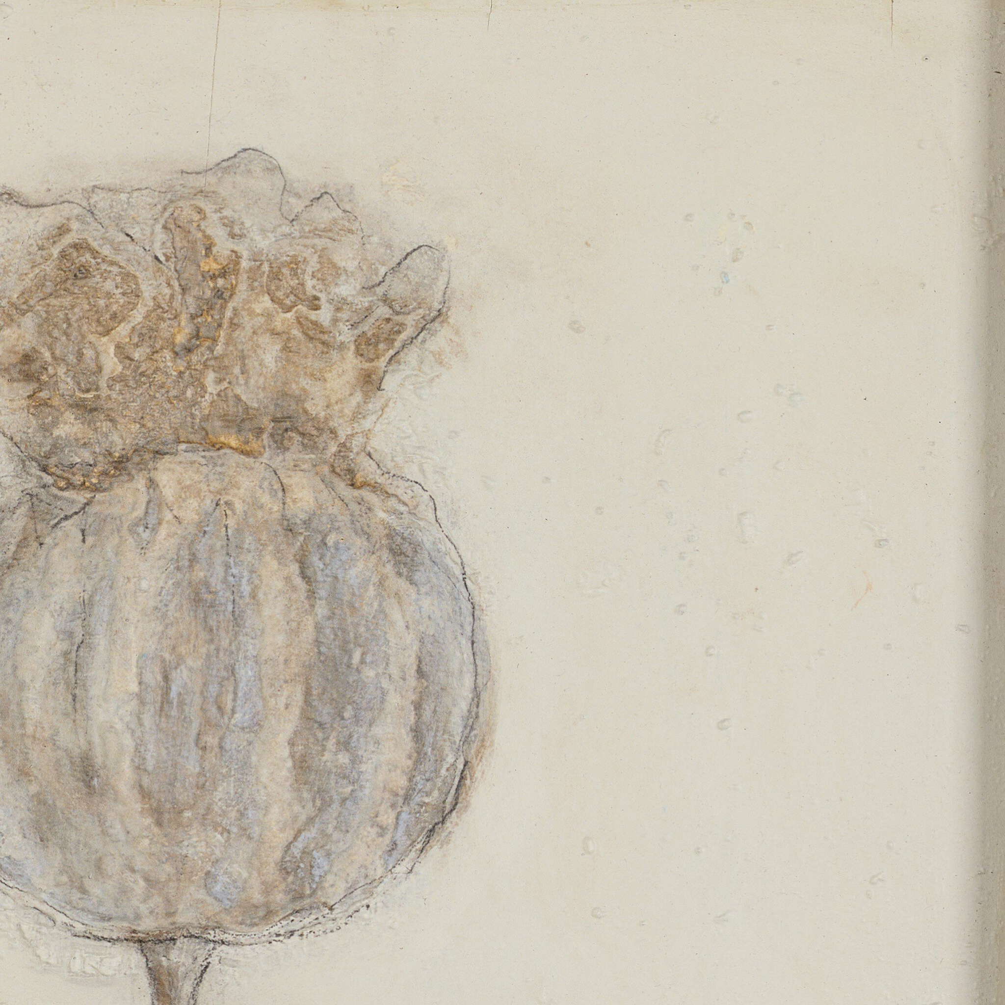 Poppy Crema by Paul Meyer - Pure Salt