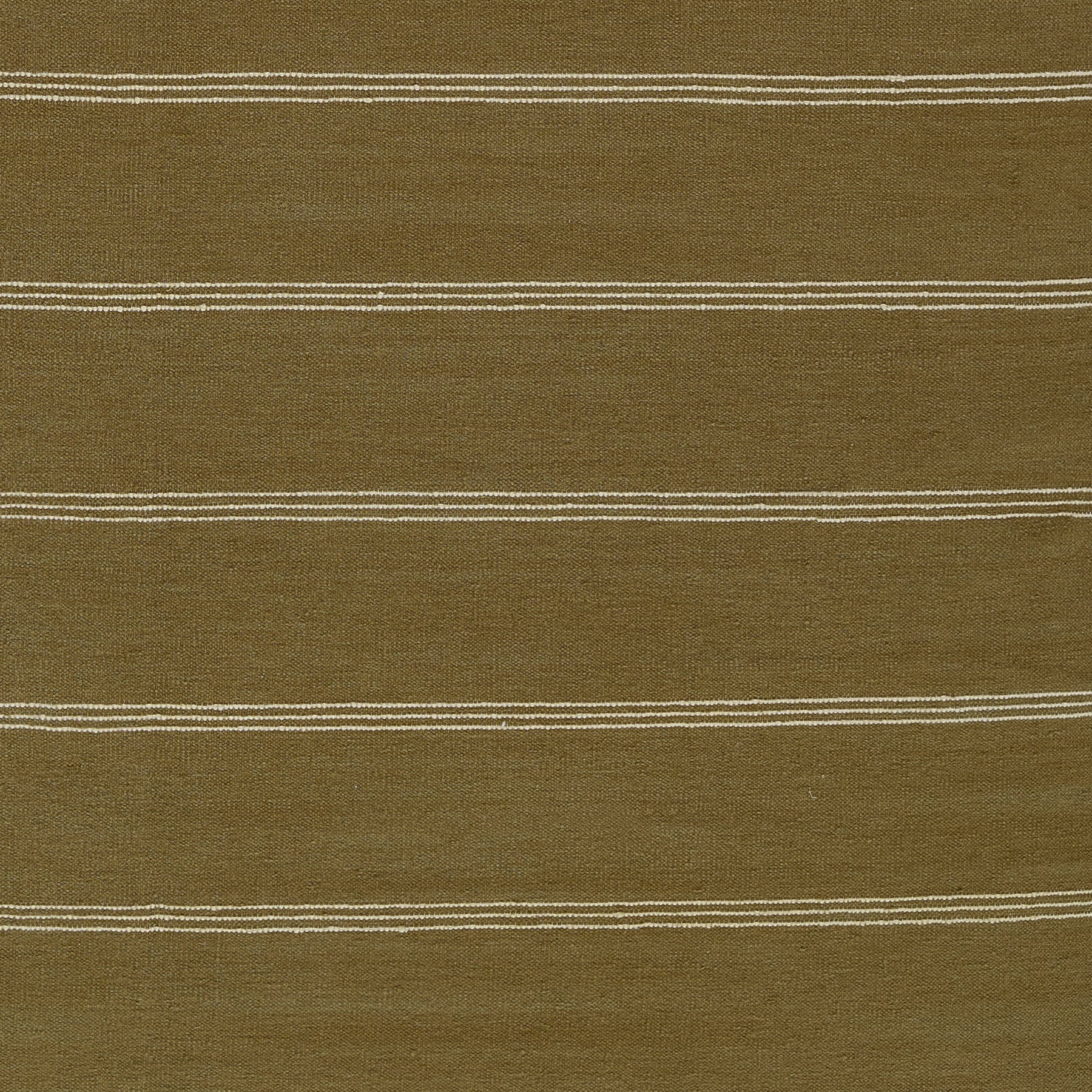 Pure Salt x Momeni Caseres Rug, Green