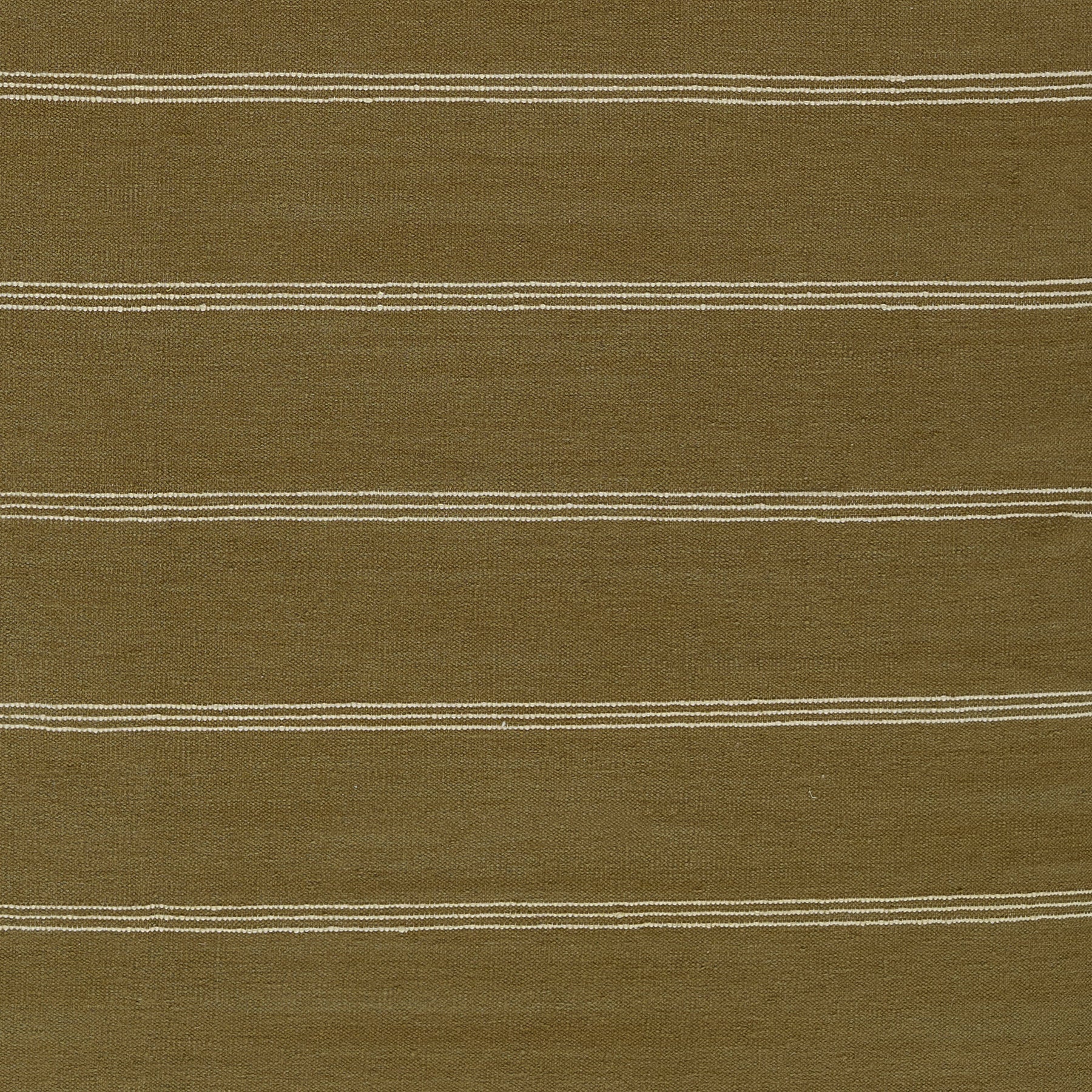 Pure Salt x Momeni Caseres Rug, Green