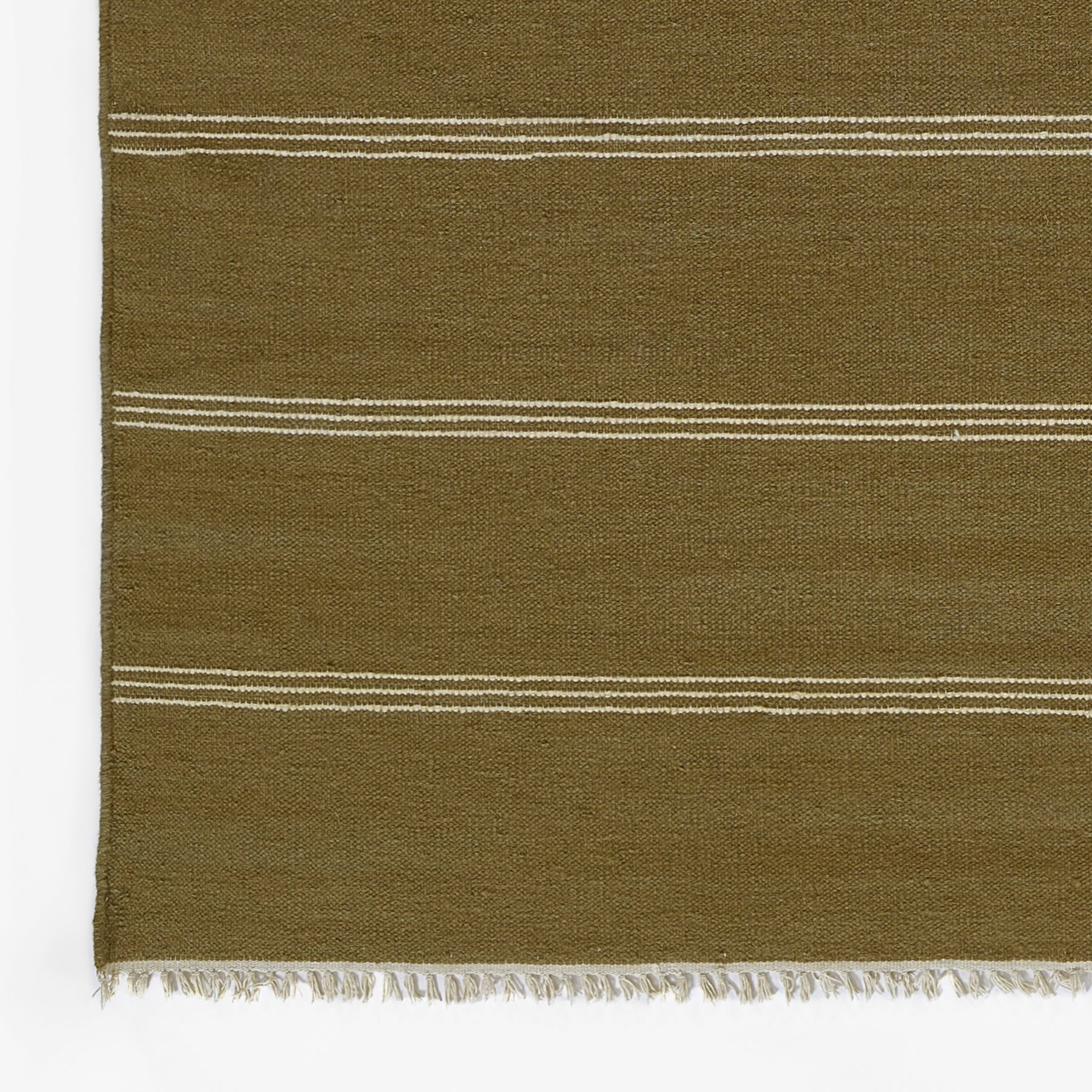 Pure Salt x Momeni Caseres Rug, Green
