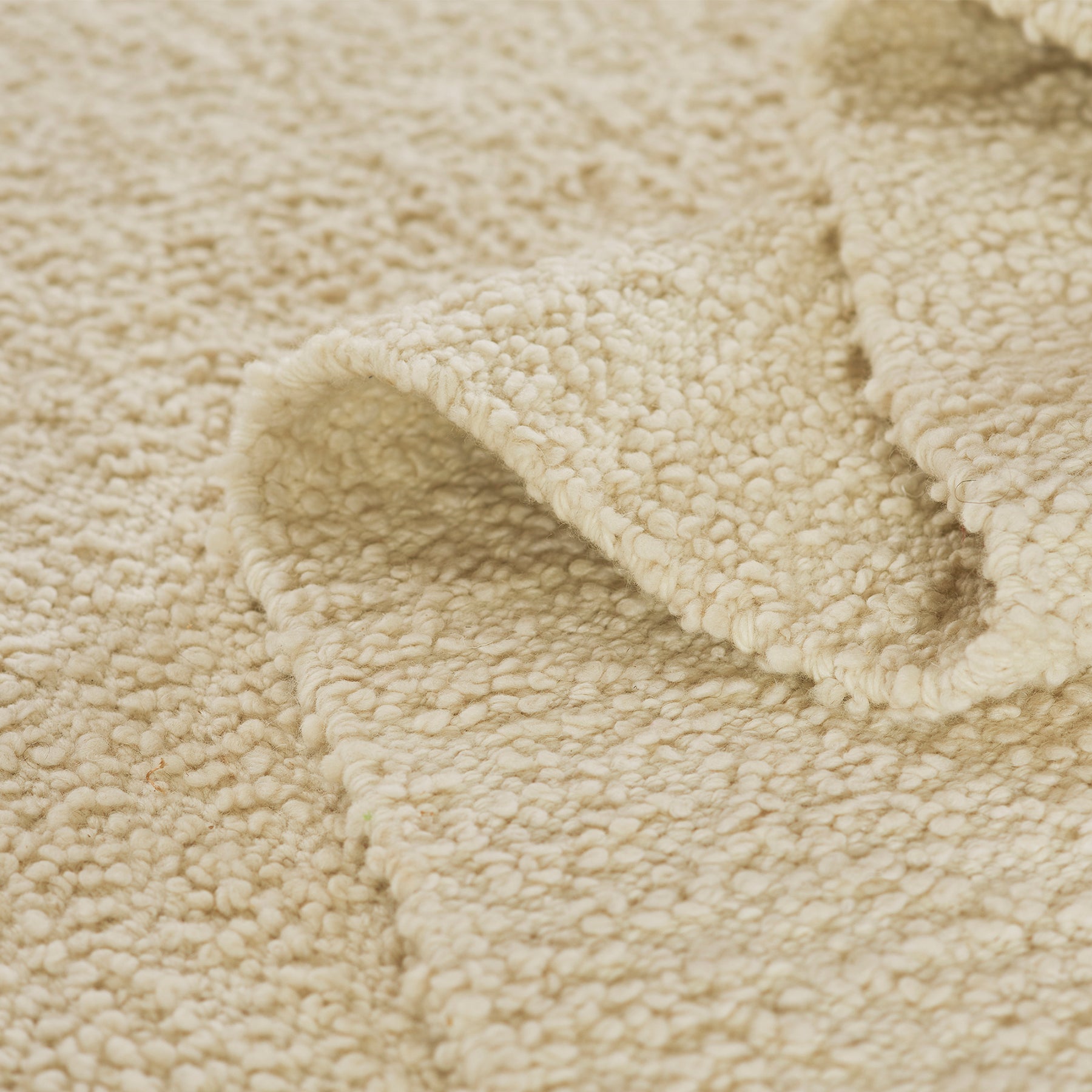 Pure Salt x Momeni Lycia Rug