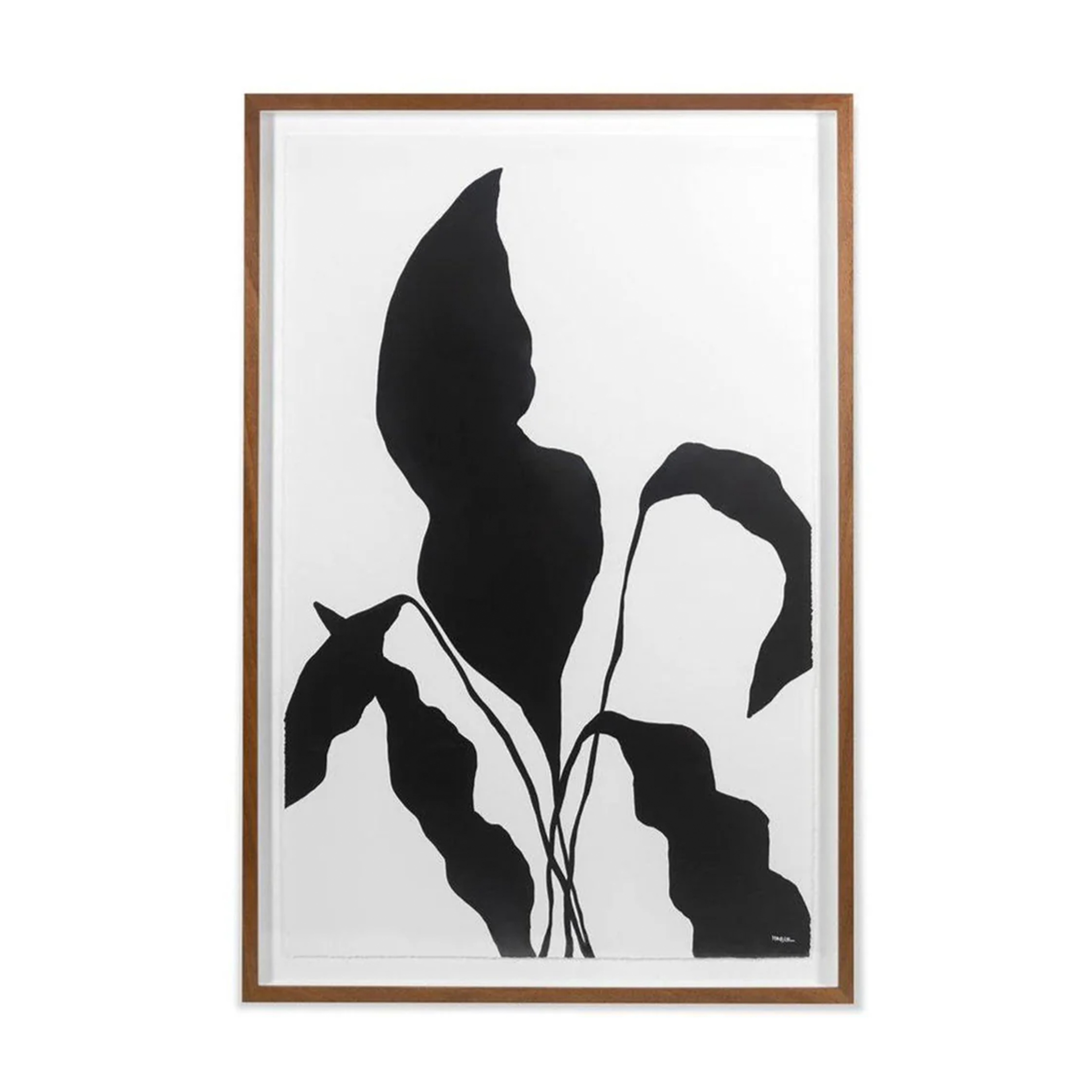 Silhouetted Flower 1