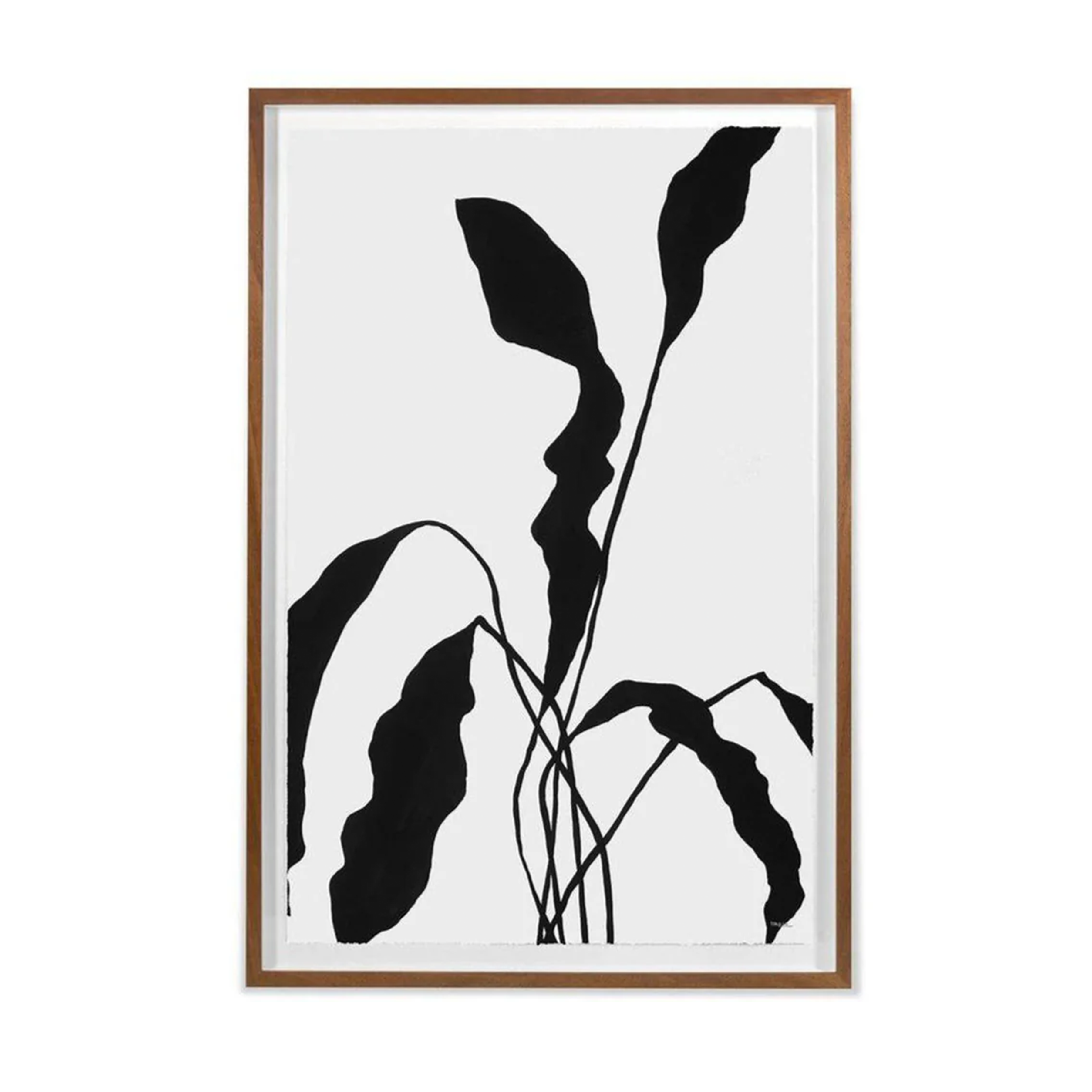 Silhouetted Flower 2