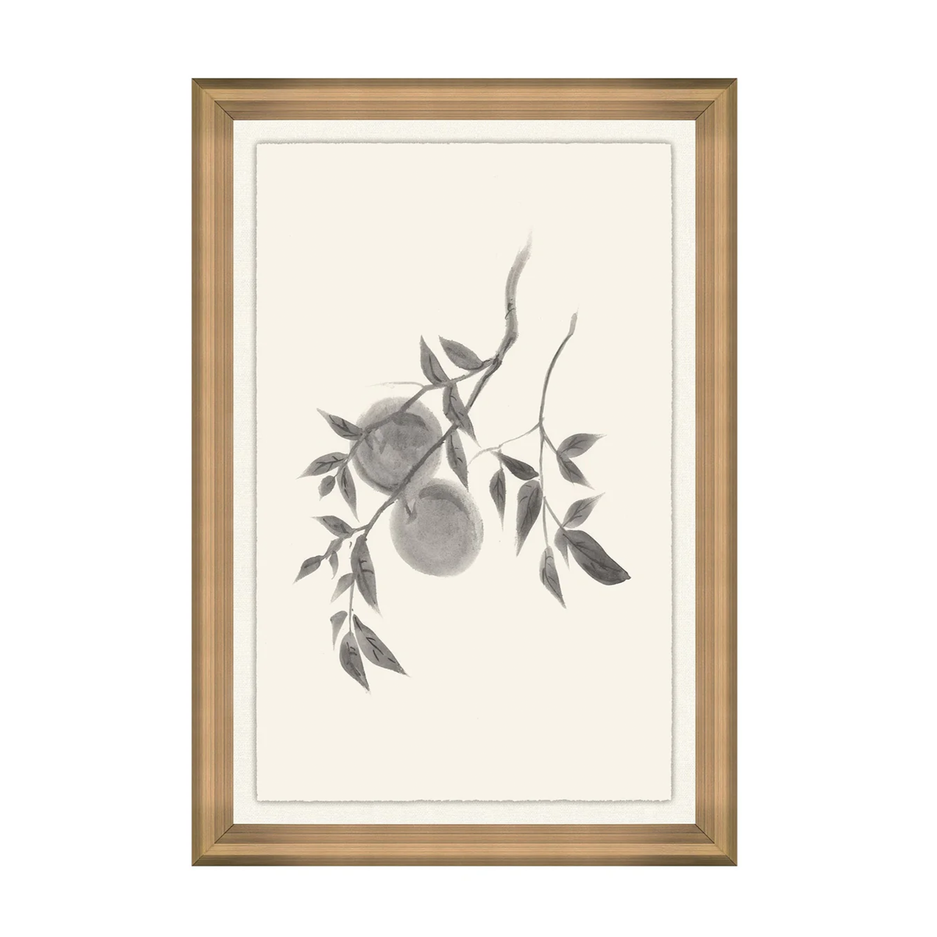 Summer Fruits I