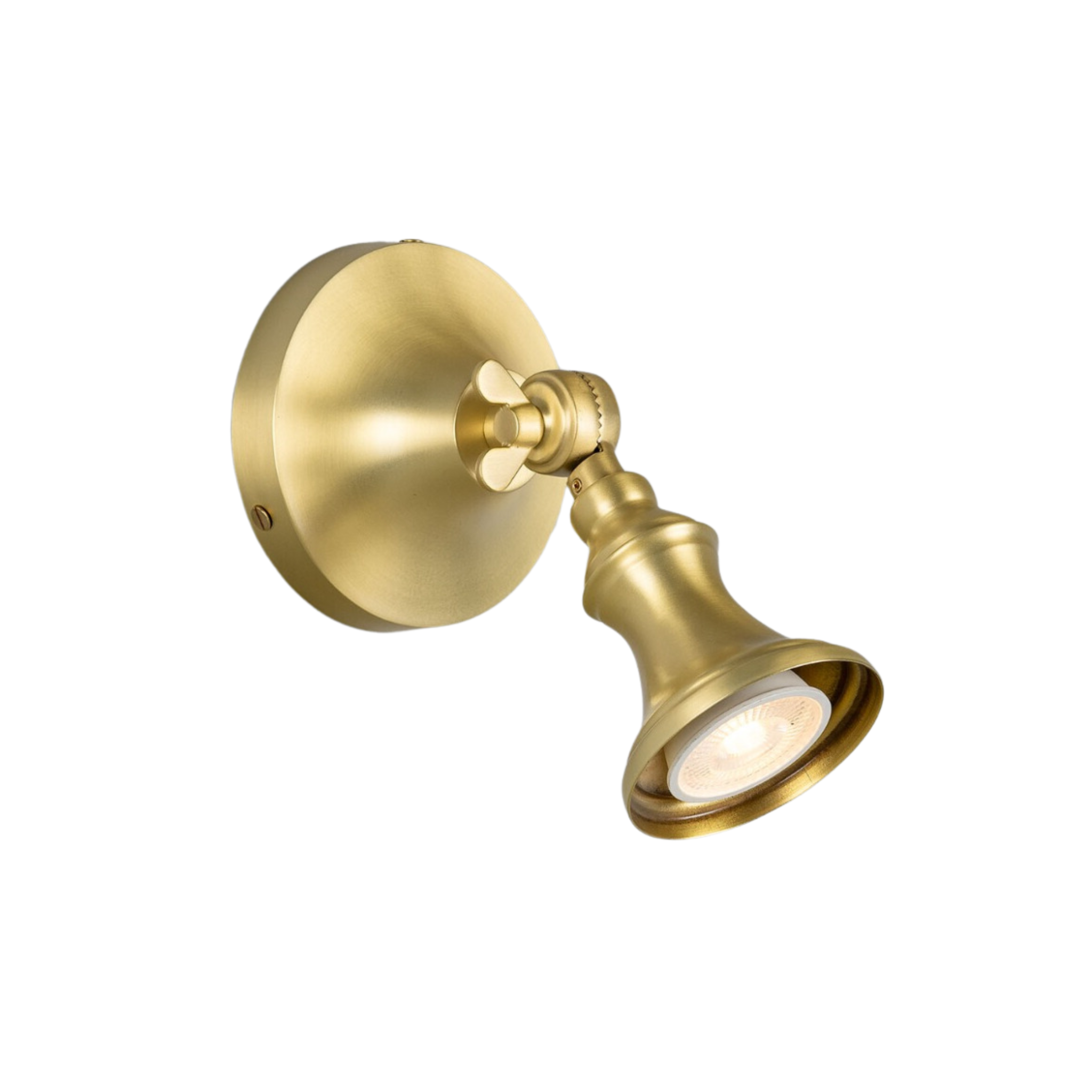 Doan Traditional Adjustable Brass Wall Spotlight - Pure Salt