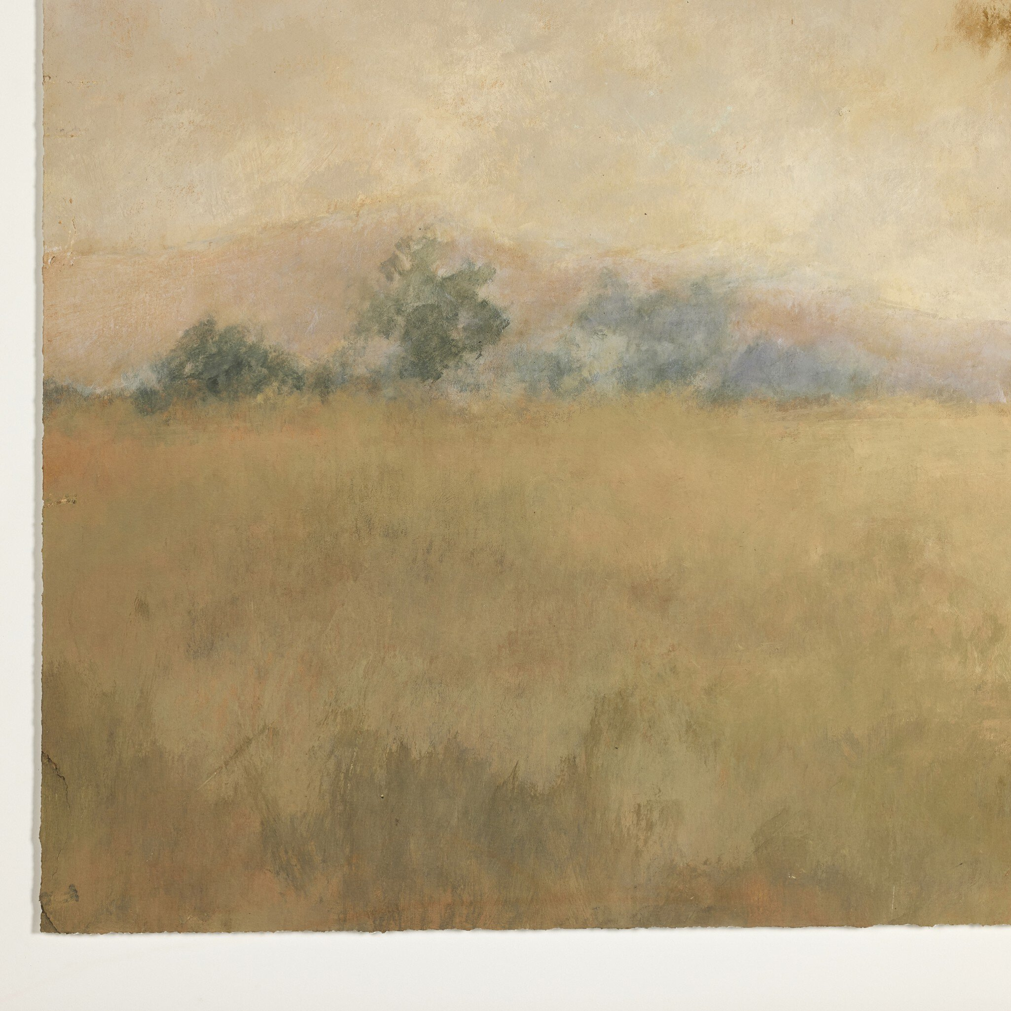 We Woke To A Dream by Aileen Fitzgerald - Pure Salt