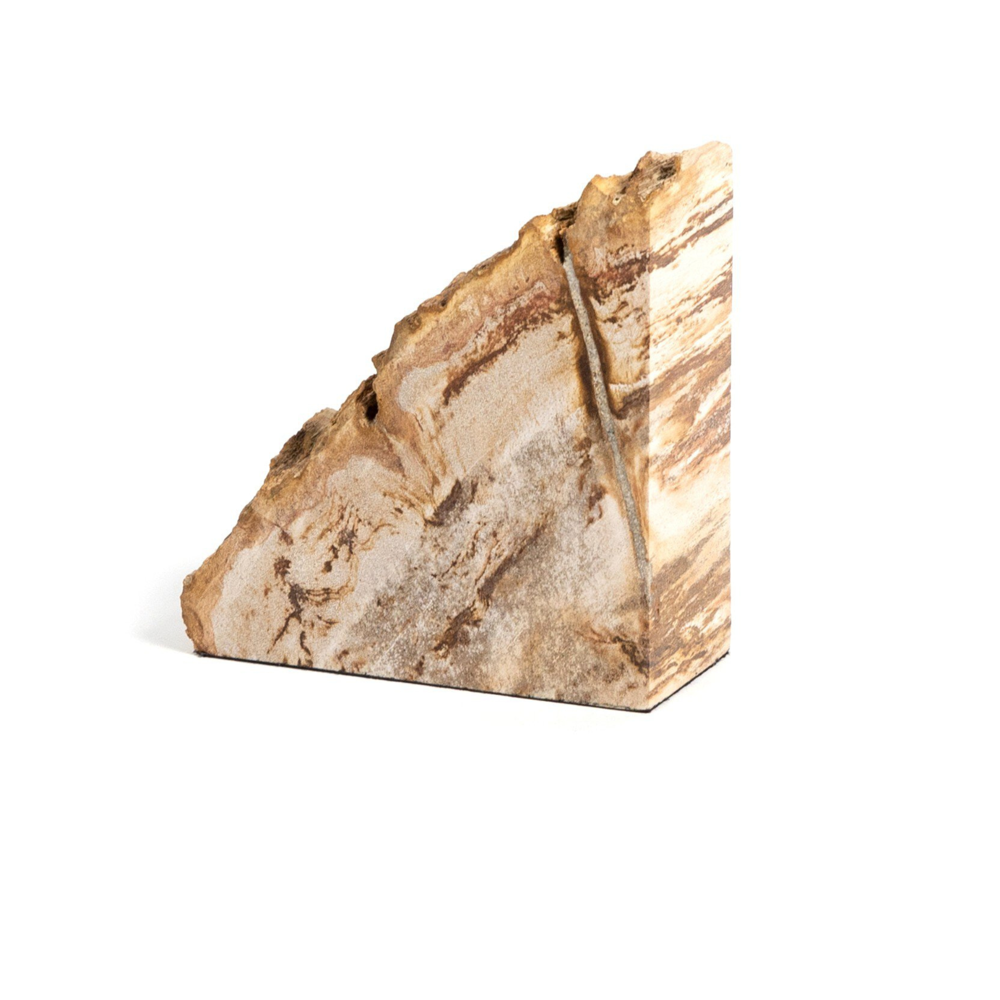 Zana Petrified Wood Bookends - Pure Salt