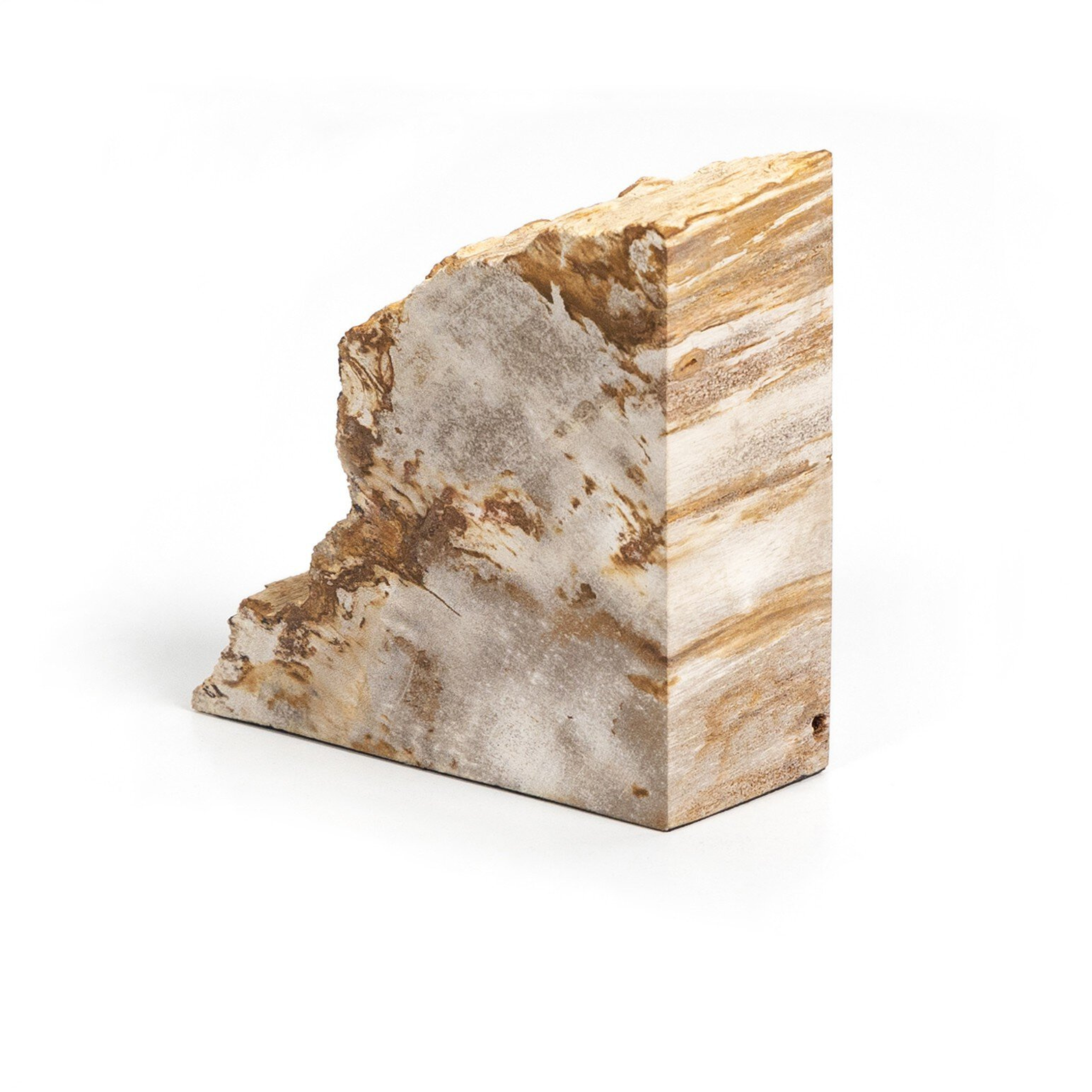 Zana Petrified Wood Bookends - Pure Salt