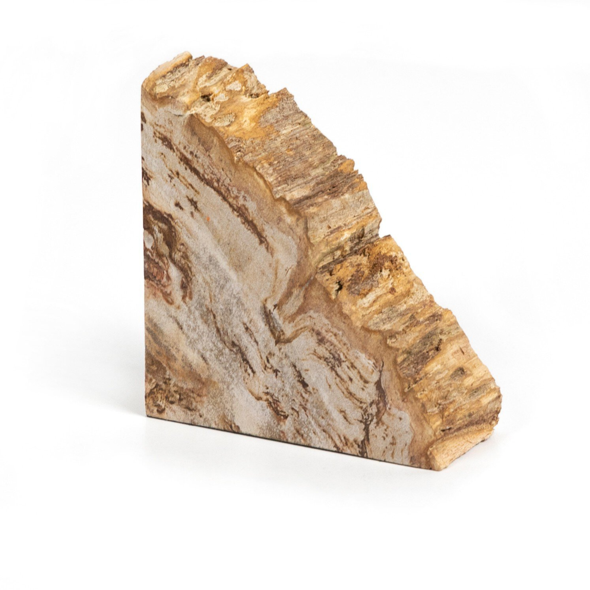 Zana Petrified Wood Bookends - Pure Salt