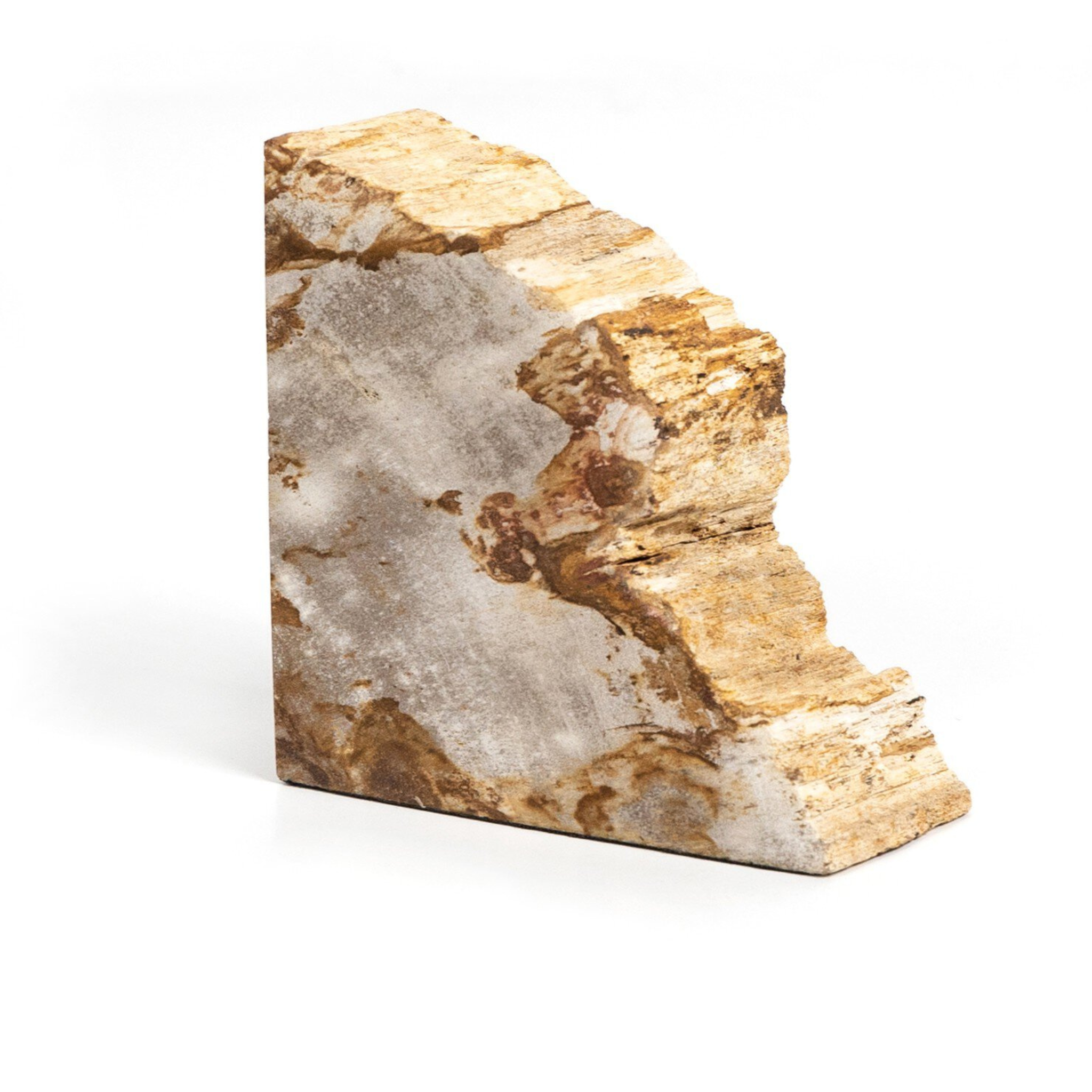 Zana Petrified Wood Bookends - Pure Salt