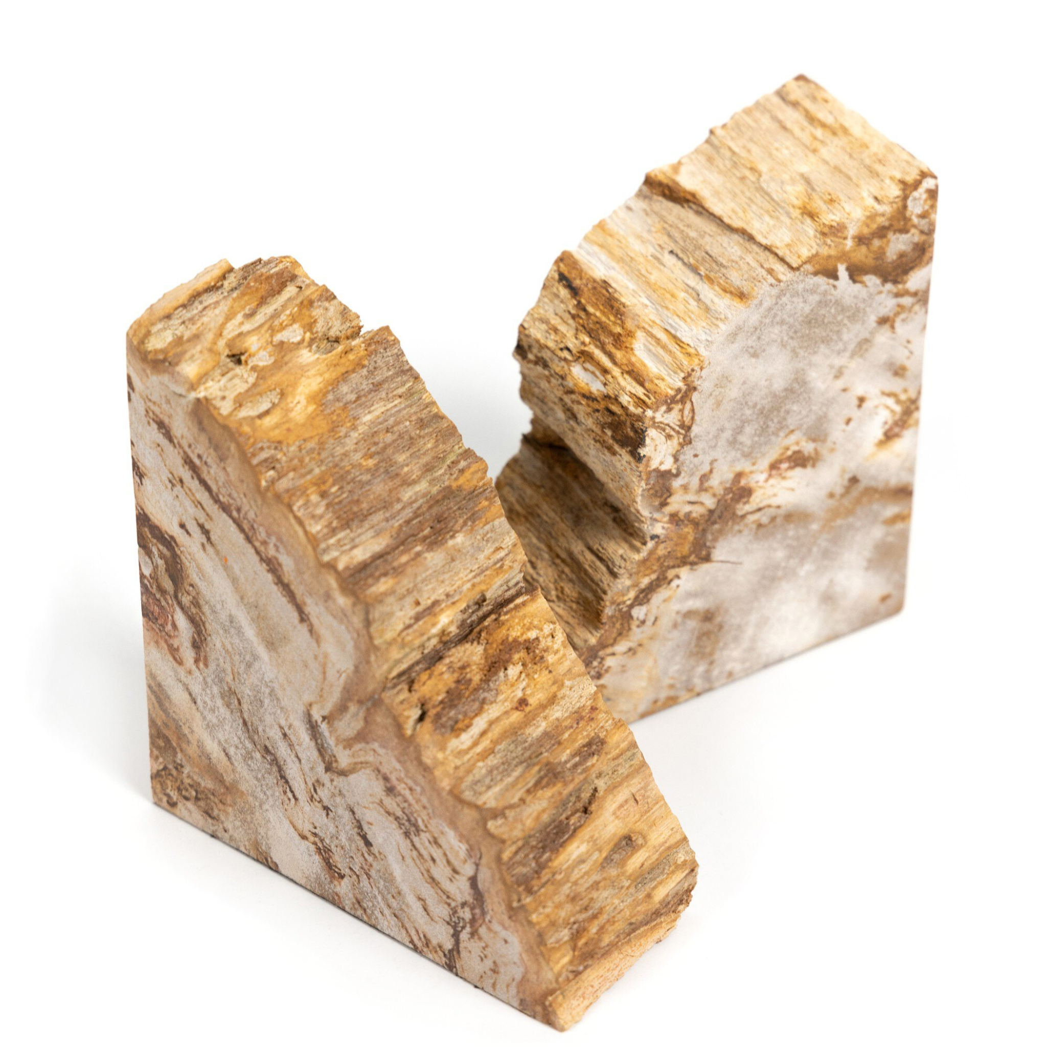 Zana Petrified Wood Bookends - Pure Salt