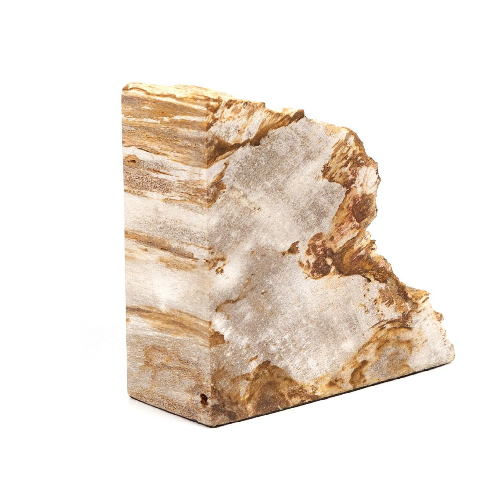 Zana Petrified Wood Bookends - Pure Salt