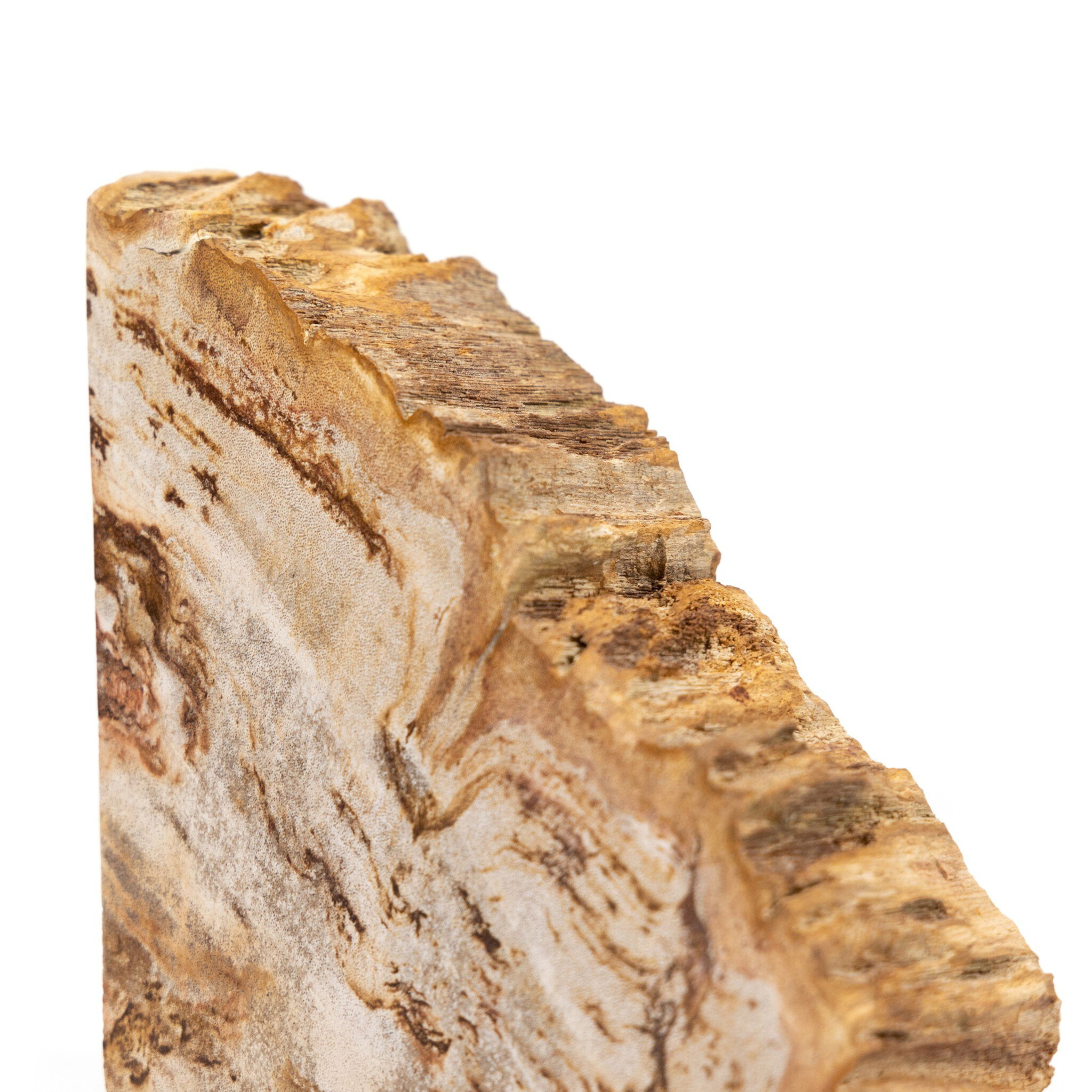 Zana Petrified Wood Bookends - Pure Salt