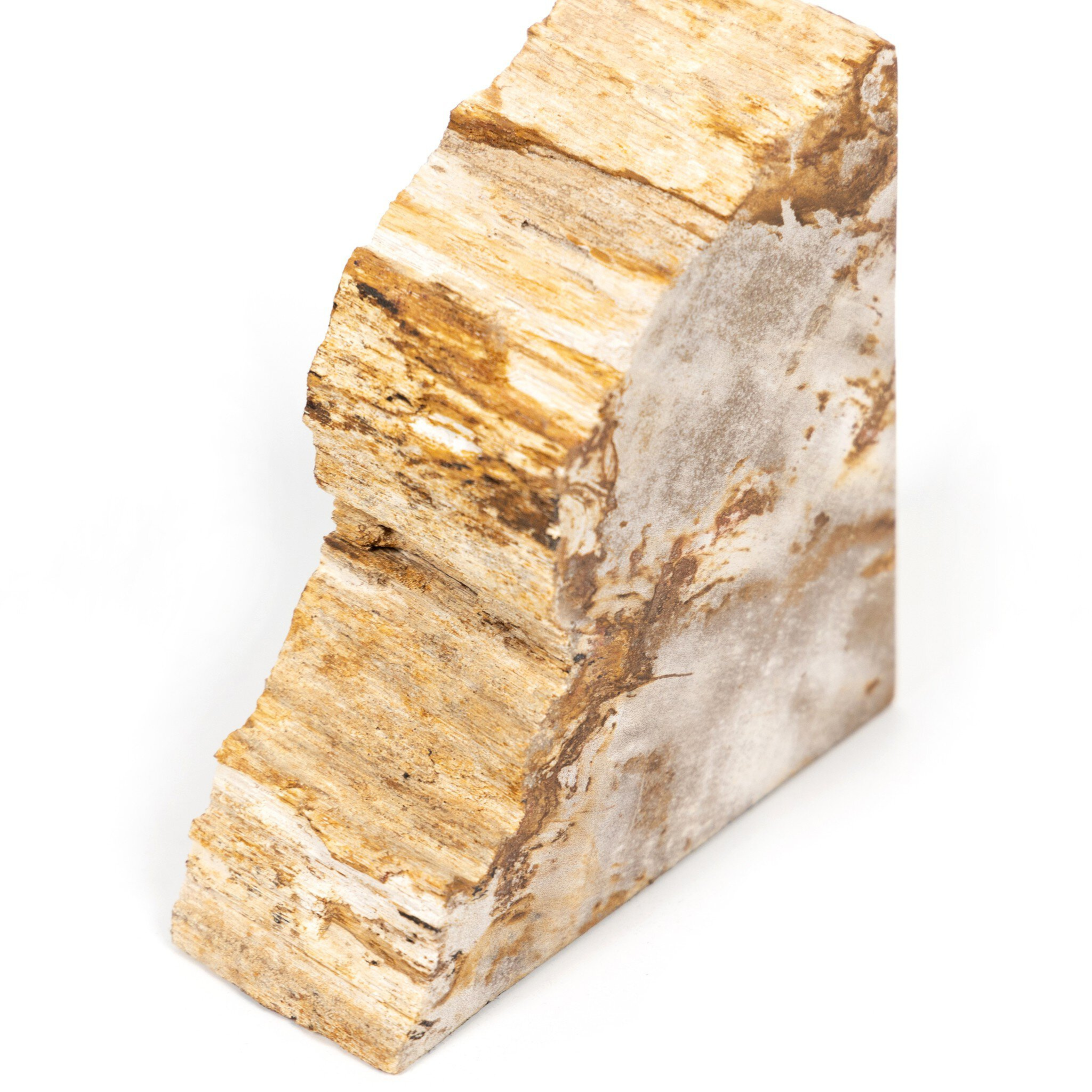 Zana Petrified Wood Bookends - Pure Salt